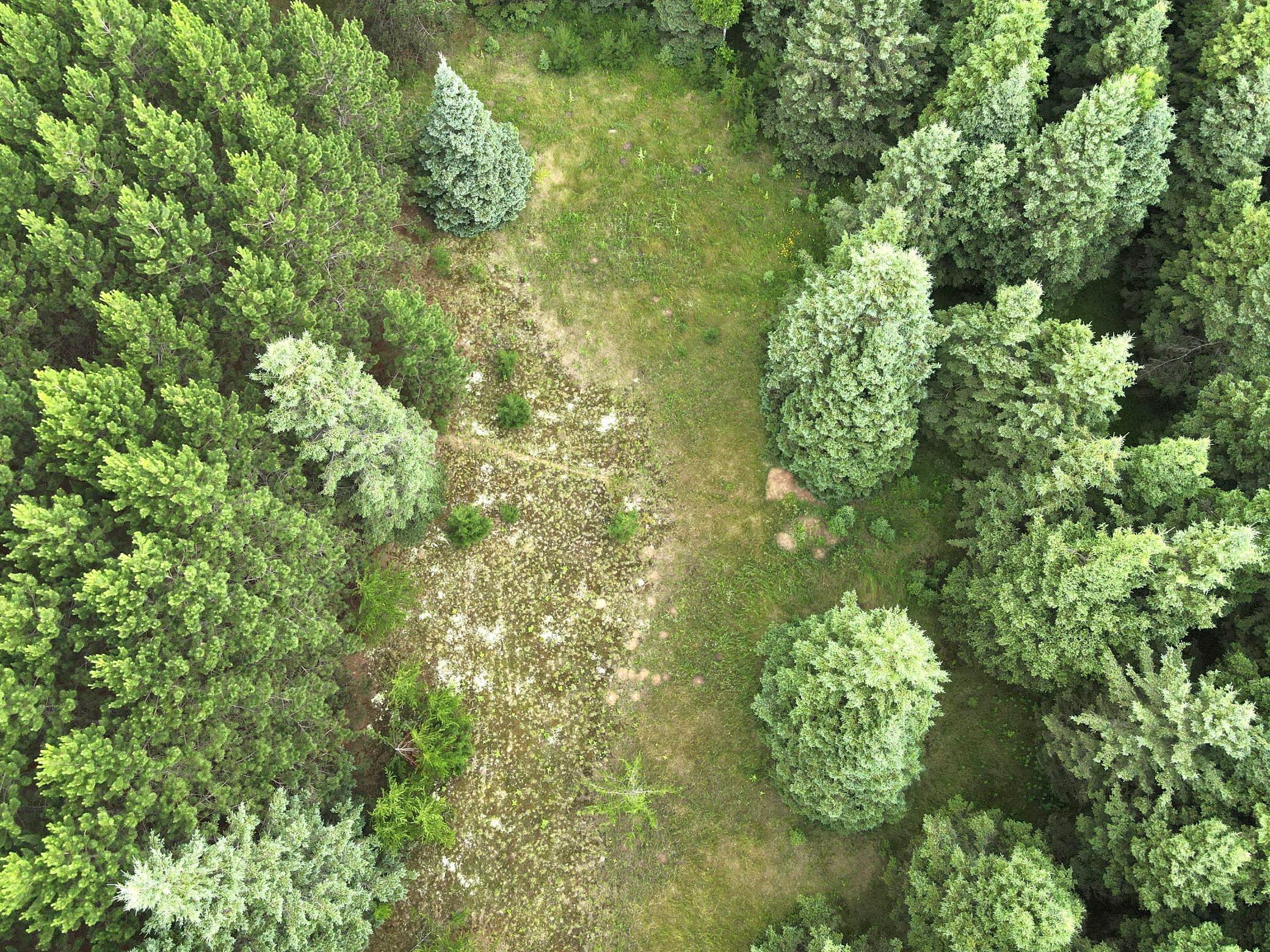 5th image of Tbd- Parcel C Sleepy Hollow Rd, Brainerd, MN 56401 | MLS# 7126567