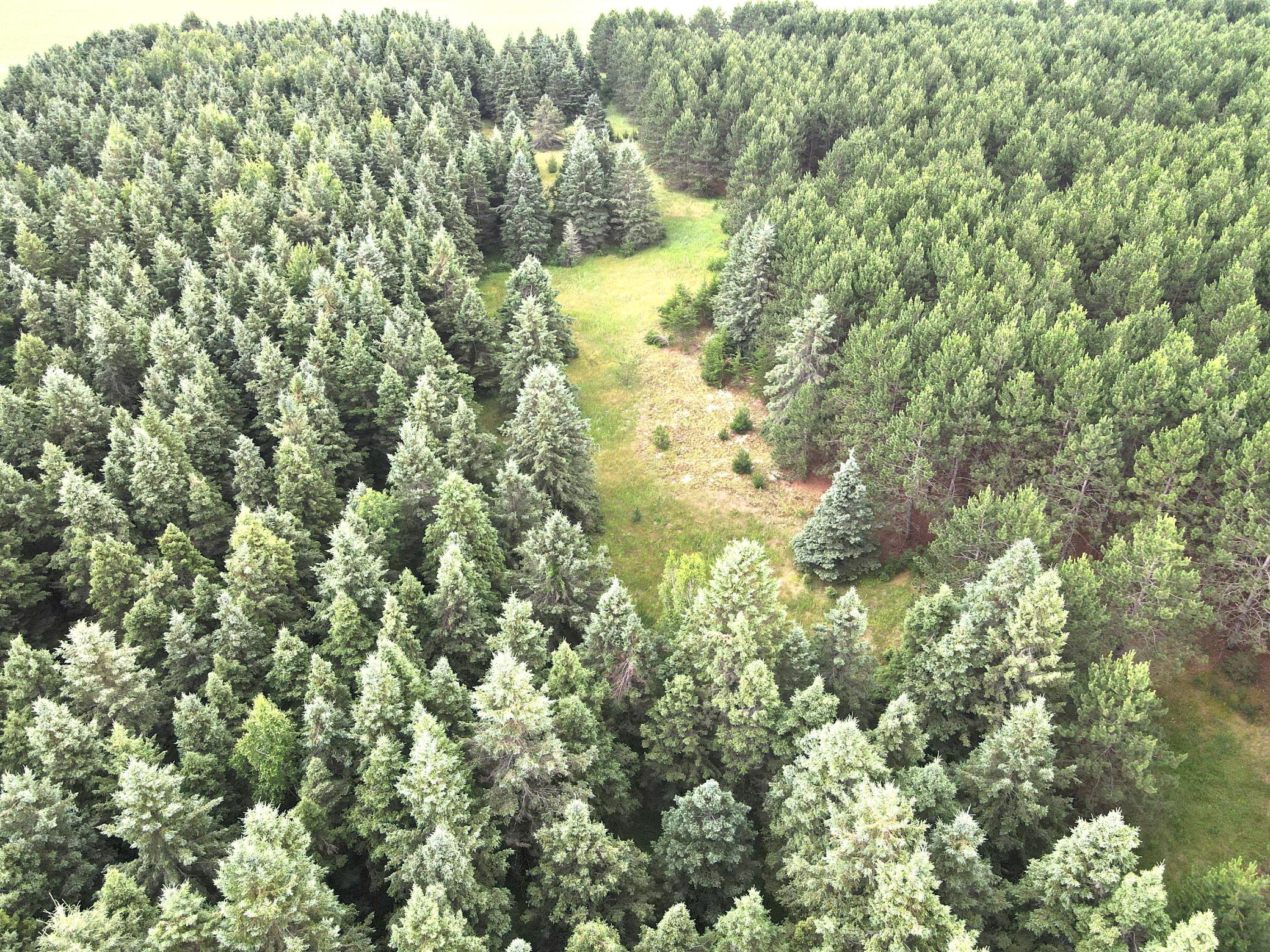 1st image of Tbd  Parcel C Sleepy Hollow Rd, Brainerd, MN 56401 | MLS# 7126567