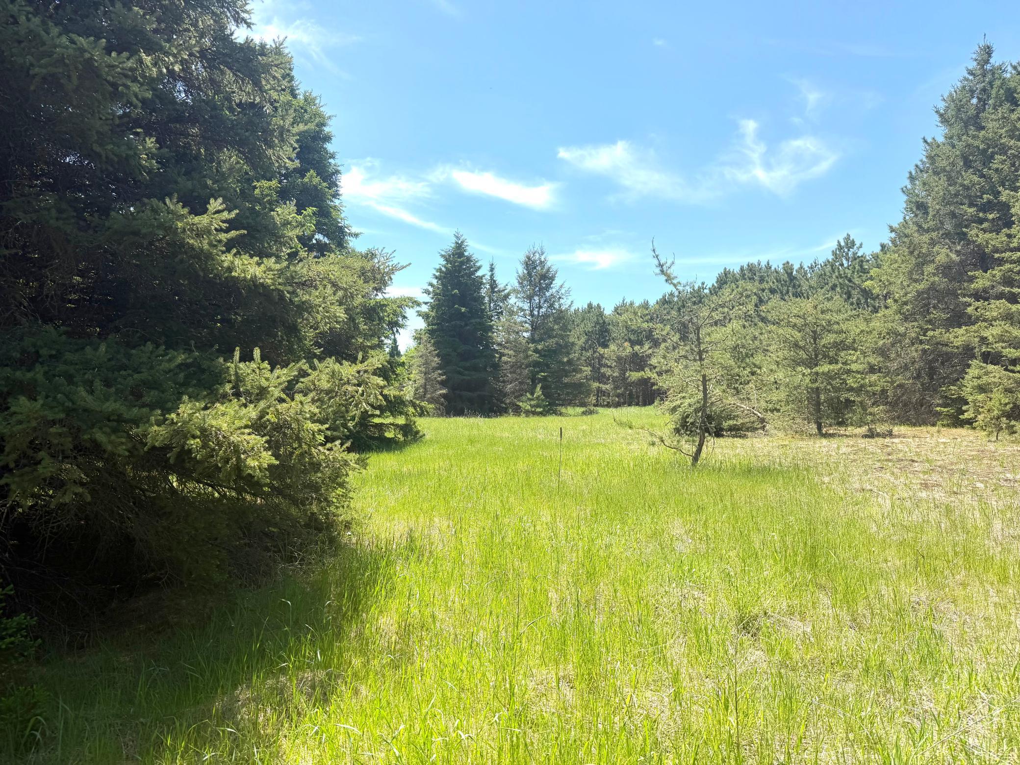 4th image of Tbd- Parcel C Sleepy Hollow Rd, Brainerd, MN 56401 | MLS# 7126567