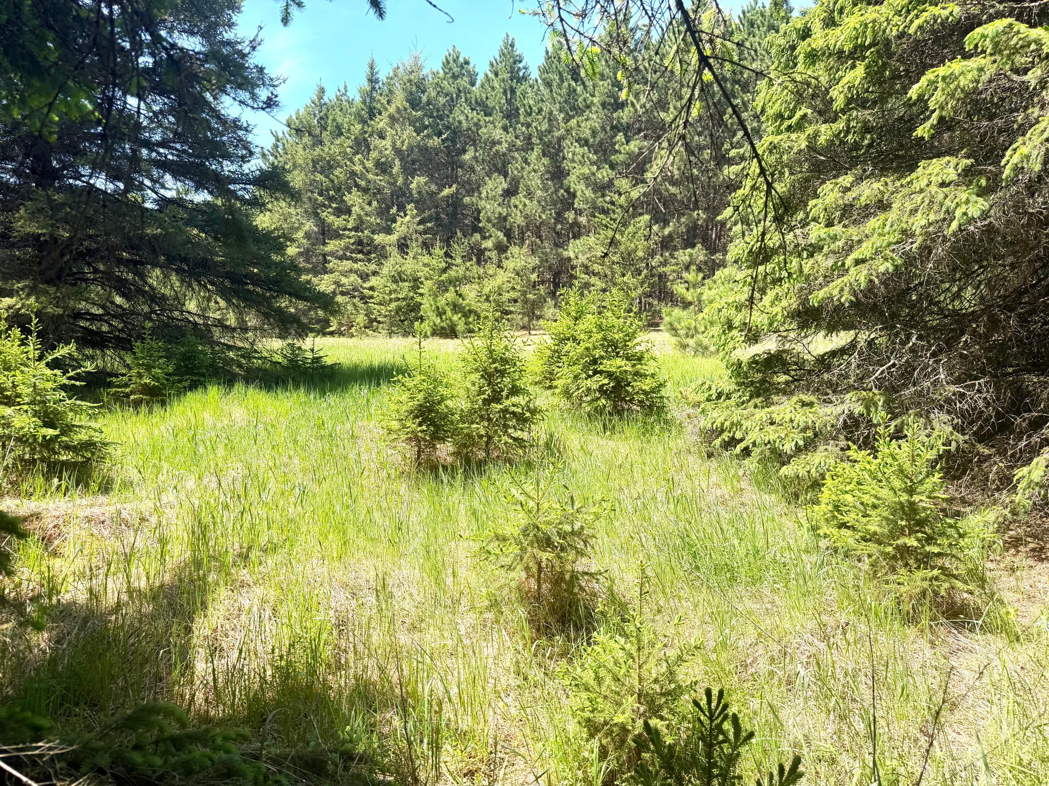 3rd image of Tbd- Parcel C Sleepy Hollow Rd, Brainerd, MN 56401 | MLS# 7126567