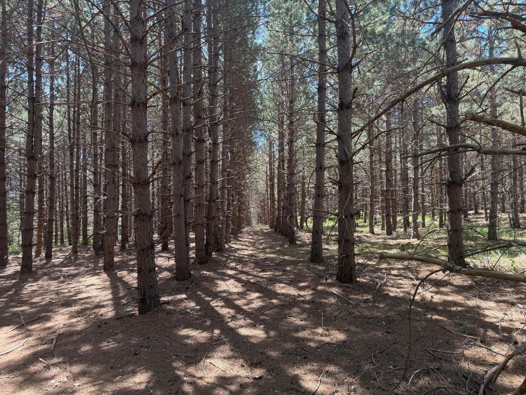 2nd image of Tbd  Parcel C Sleepy Hollow Rd, Brainerd, MN 56401 | MLS# 7126567