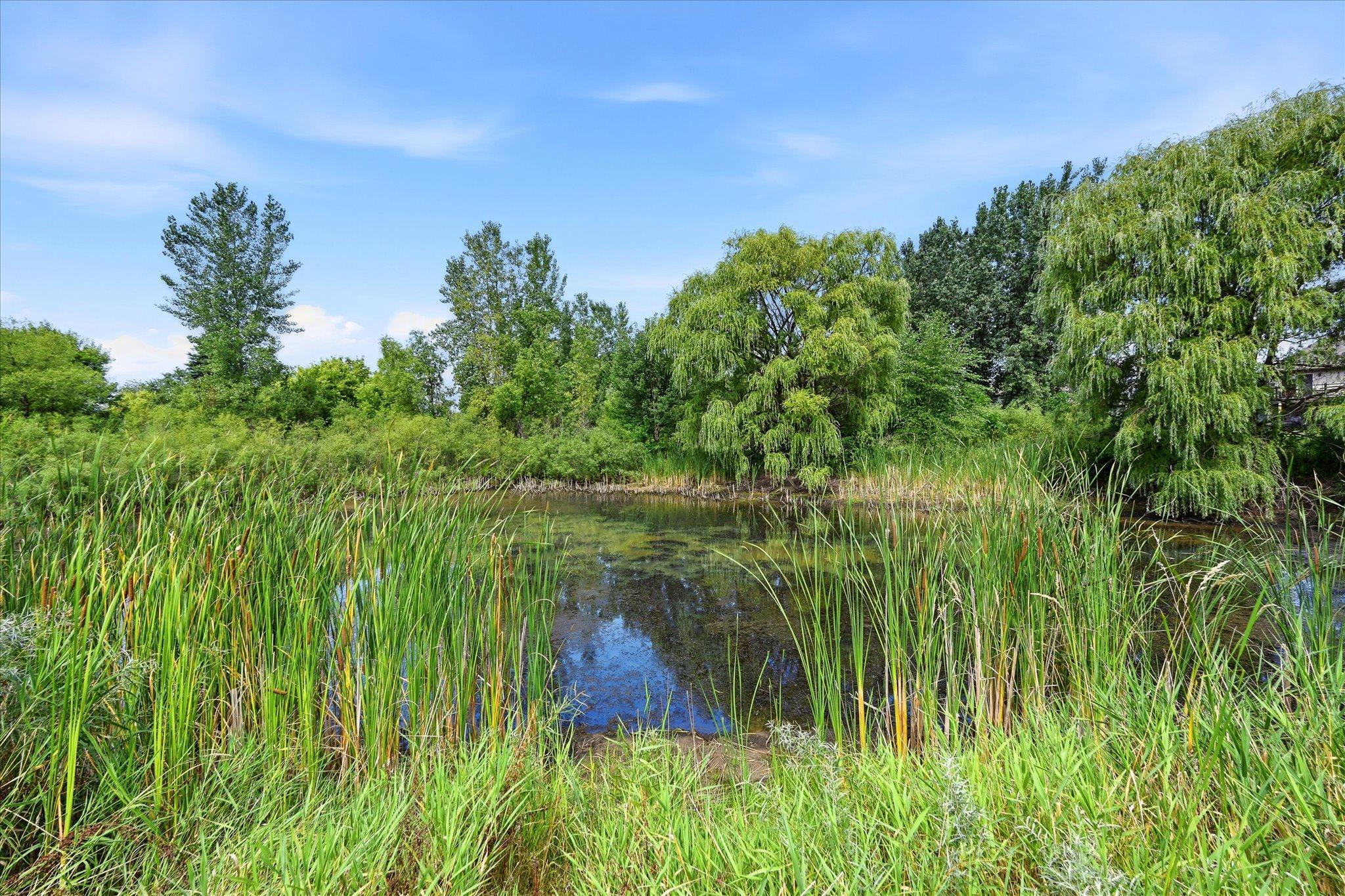 41st image of 6122 152nd St N, Hugo, MN 55038 | MLS# 7126643