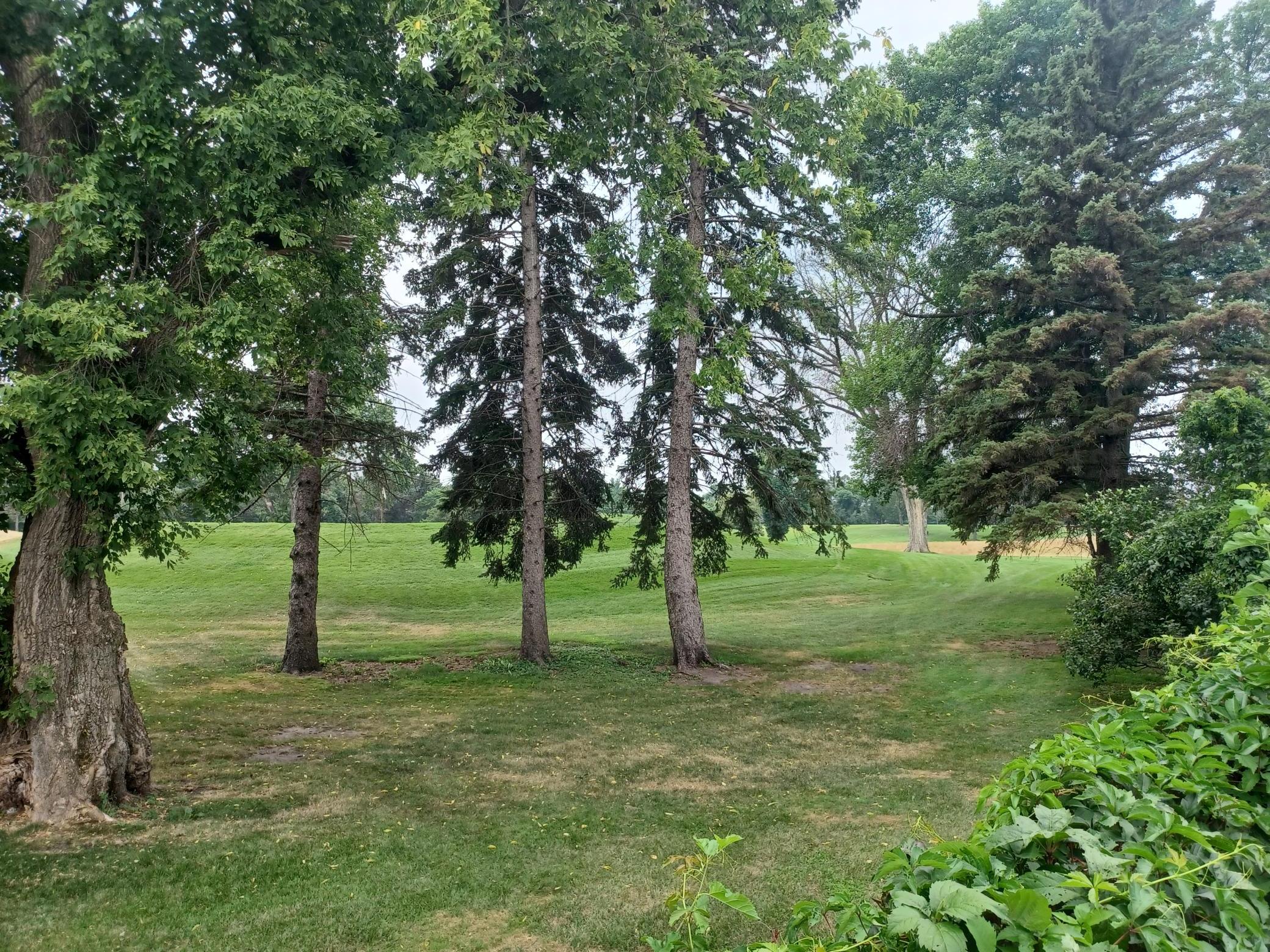 3rd image of 8101 Westwood Hills Dr, Minneapolis, MN 55426 | MLS# 7127183