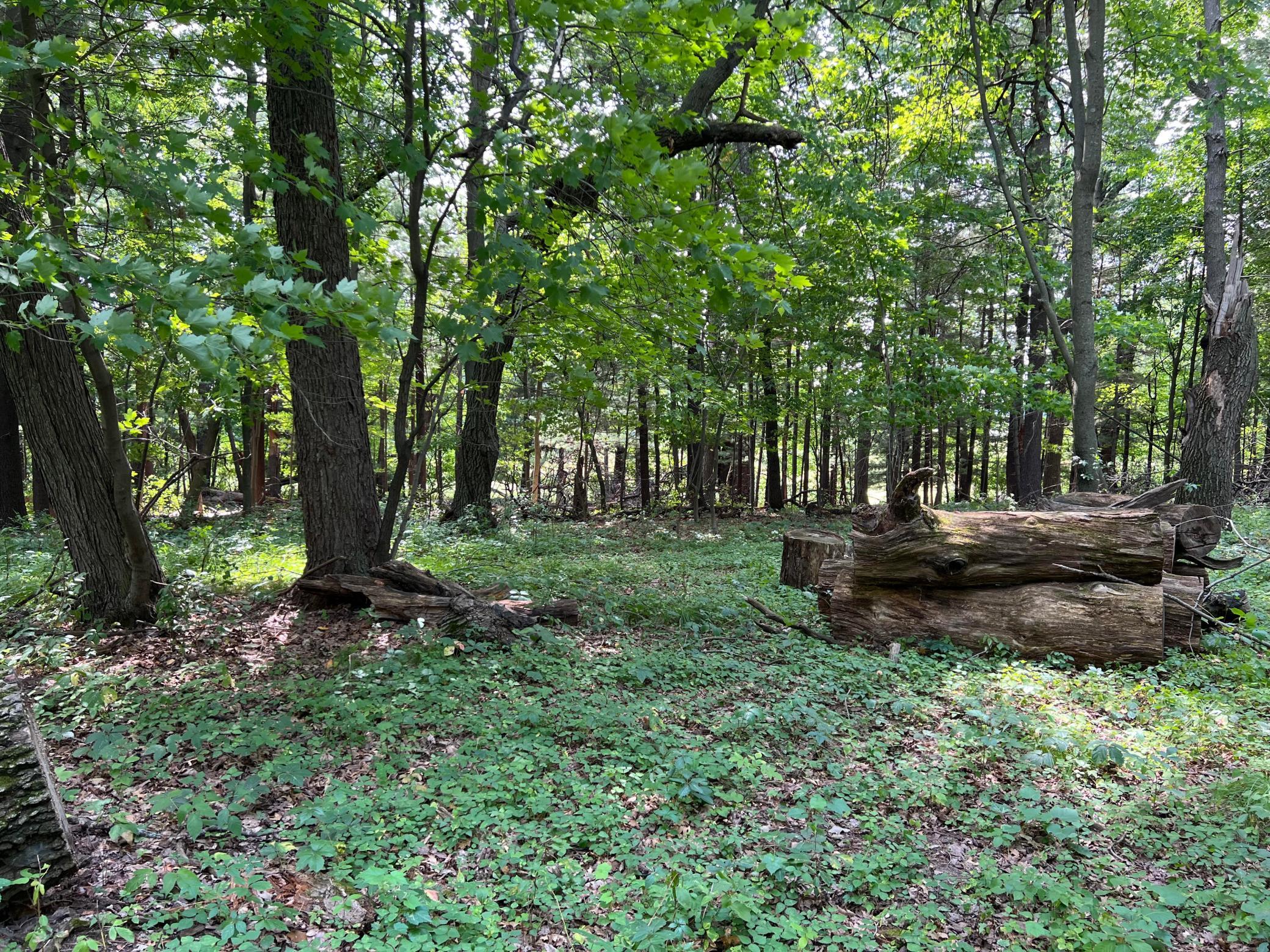 4th image of Tbd Elmcrest Ave, Stacy, MN 55079 | MLS# 7127388