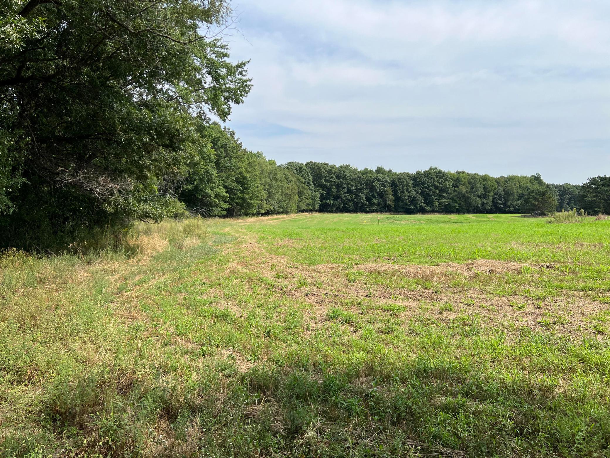 3rd image of Tbd Elmcrest Ave, Stacy, MN 55079 | MLS# 7127388