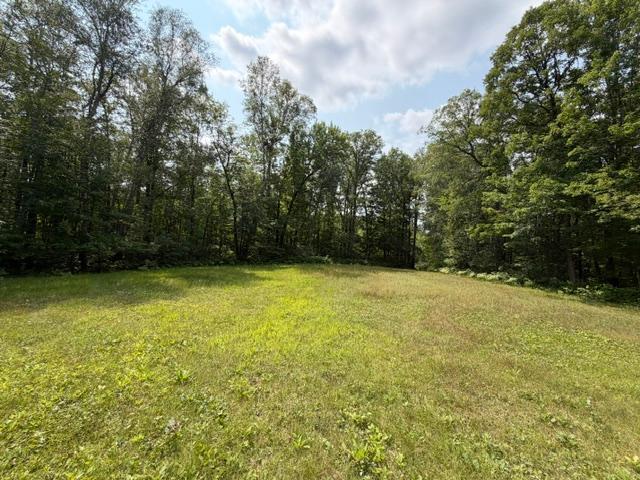 4th image of Tbd State Hwy 65, Mc Gregor, MN 55760 | MLS# 7127457