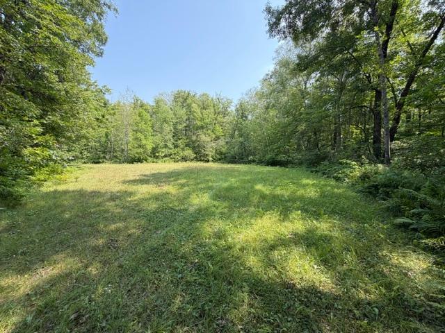 5th image of Tbd State Hwy 65, Mc Gregor, MN 55760 | MLS# 7127457
