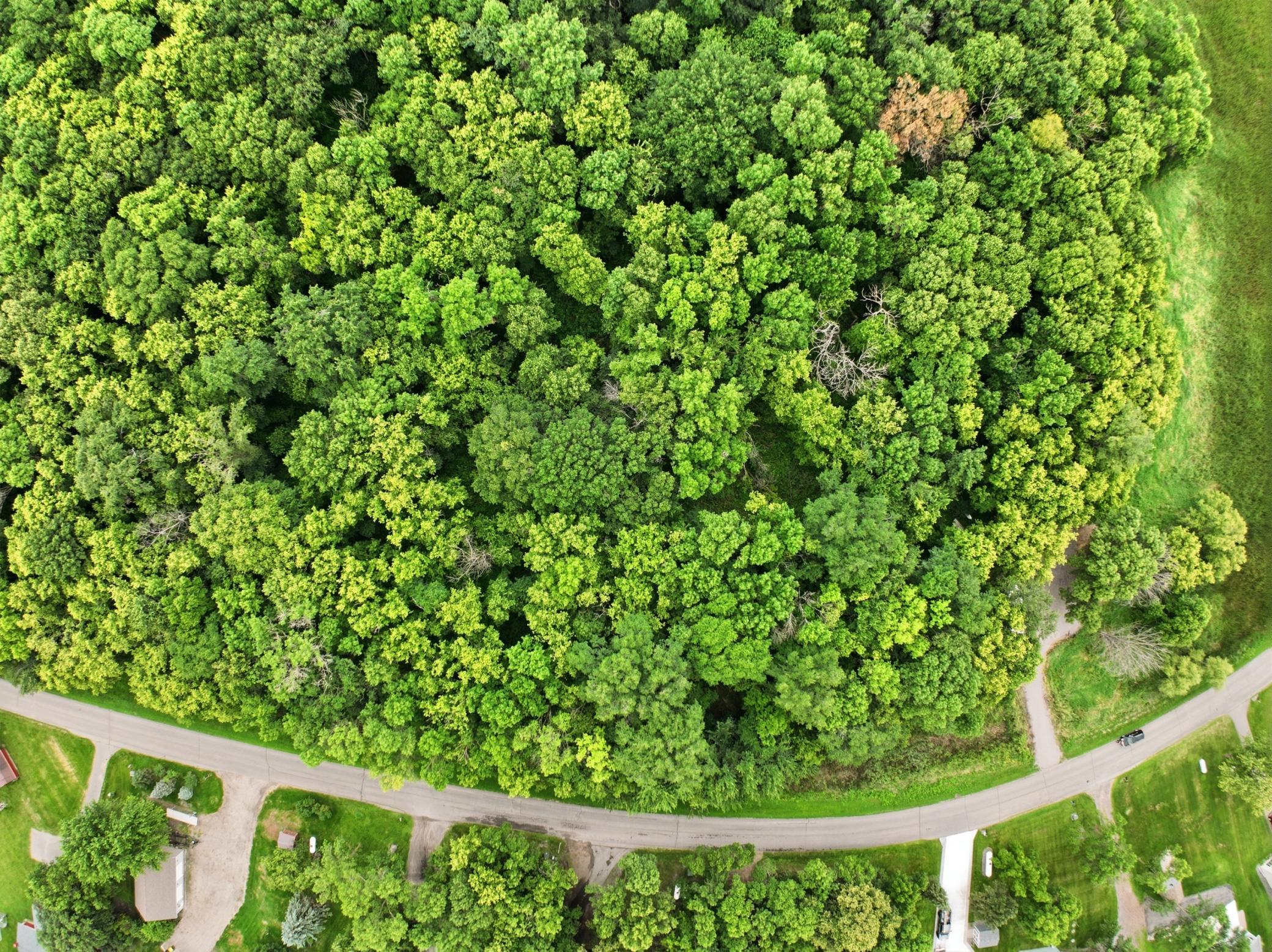 5th image of Lot 2 123Rd Ave Ne, Lake Lillian, MN 56253 | MLS# 7127563
