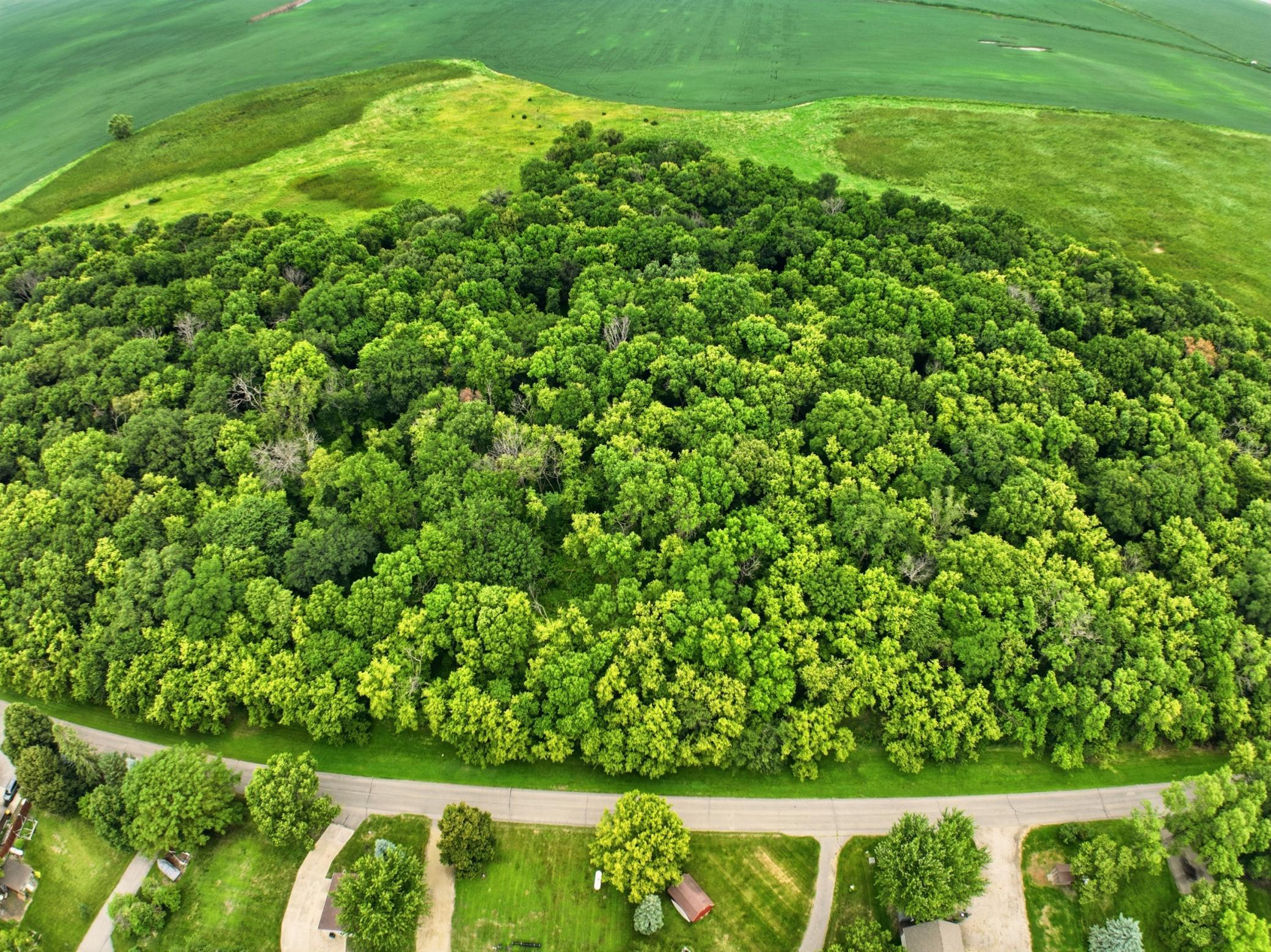 11th image of Lot 2 123rd Ave Ne, Lake Lillian, MN 56253 | MLS# 7127563