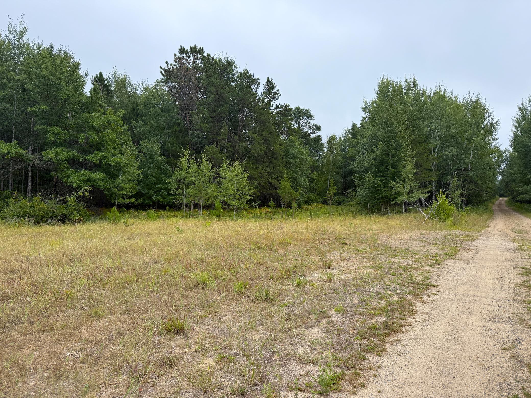 2nd image of 10082 Legionville Rd, Brainerd, MN 56401 | MLS# 7127668