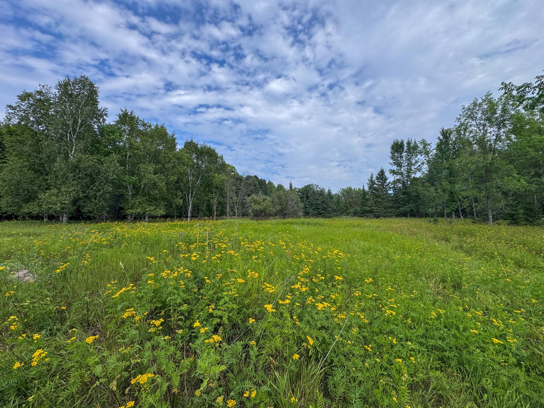 4th image of 12685 Sharp Rock Rd Ne, Tenstrike, MN 56683 | MLS# 7127704