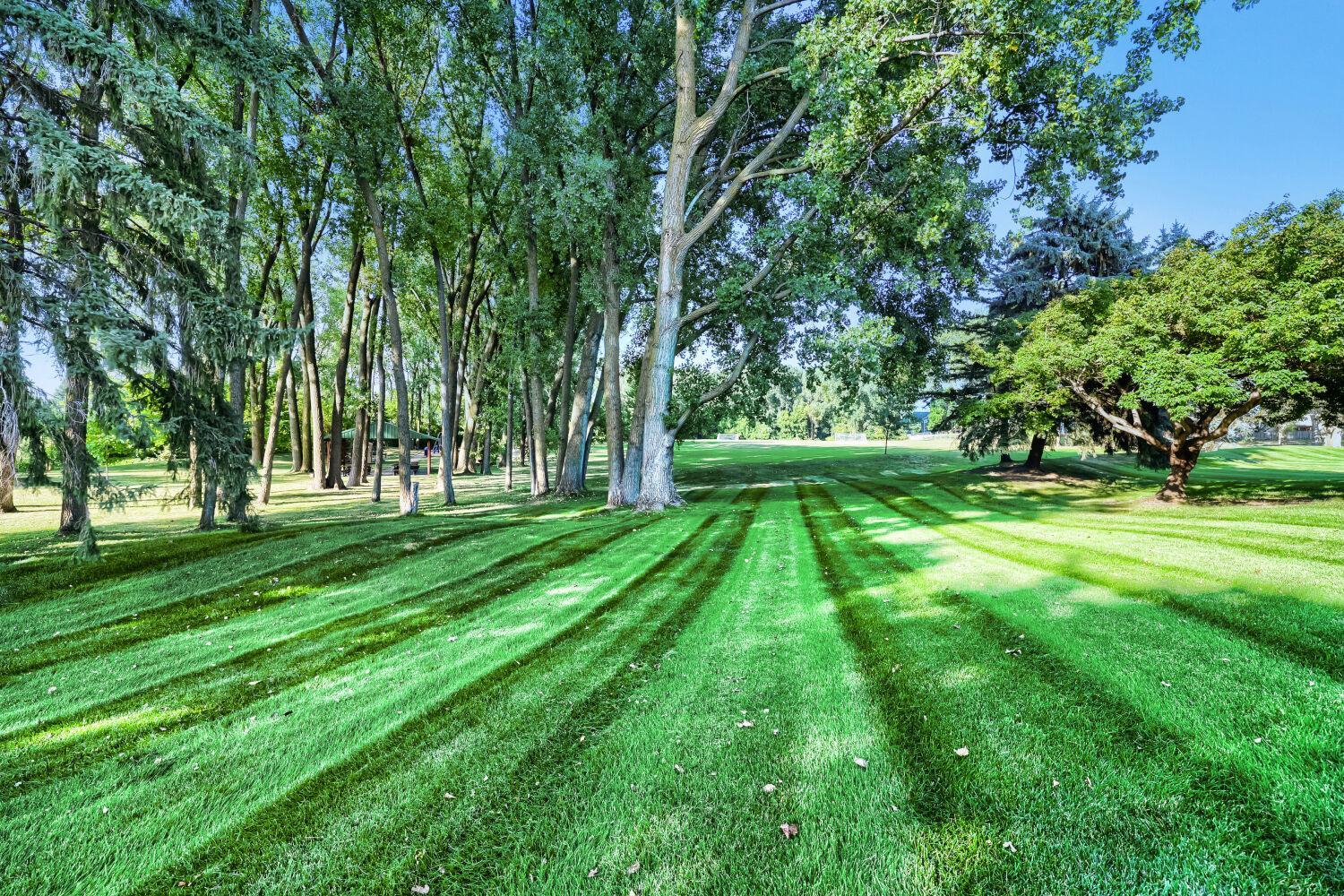 5th image of 4190 White Bear Pkwy, White Bear Lake, MN 55110