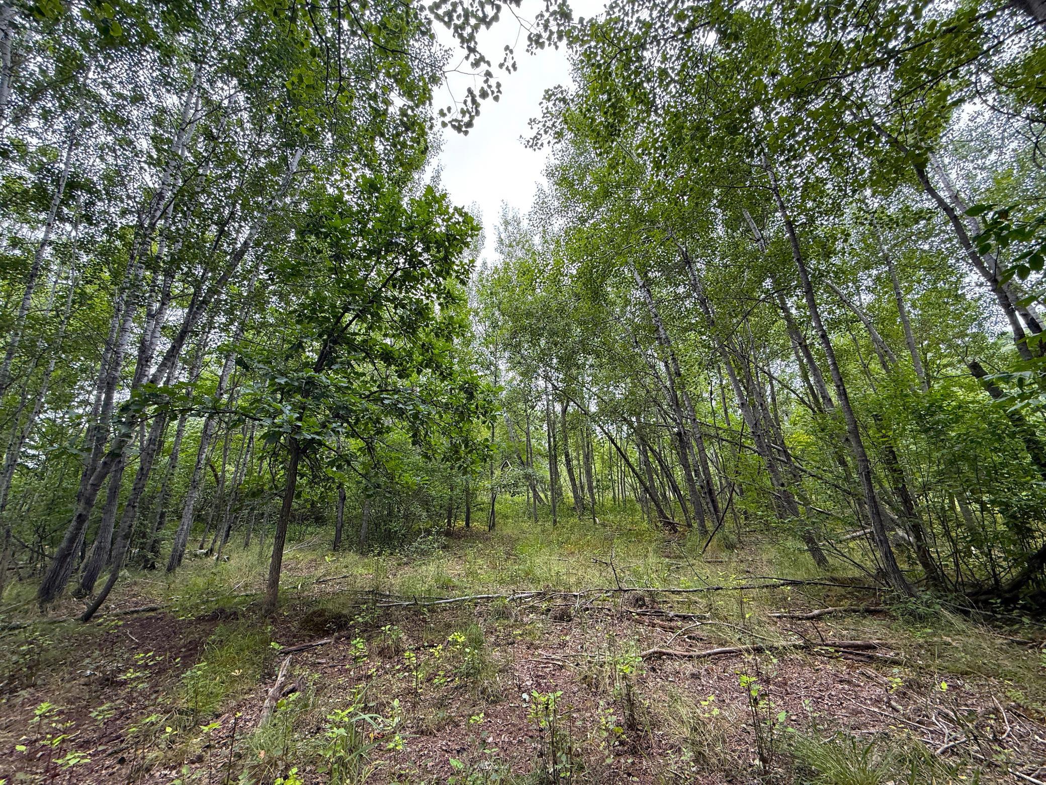 4th image of 10046 Legionville Rd, Brainerd, MN 56401 | MLS# 7128041