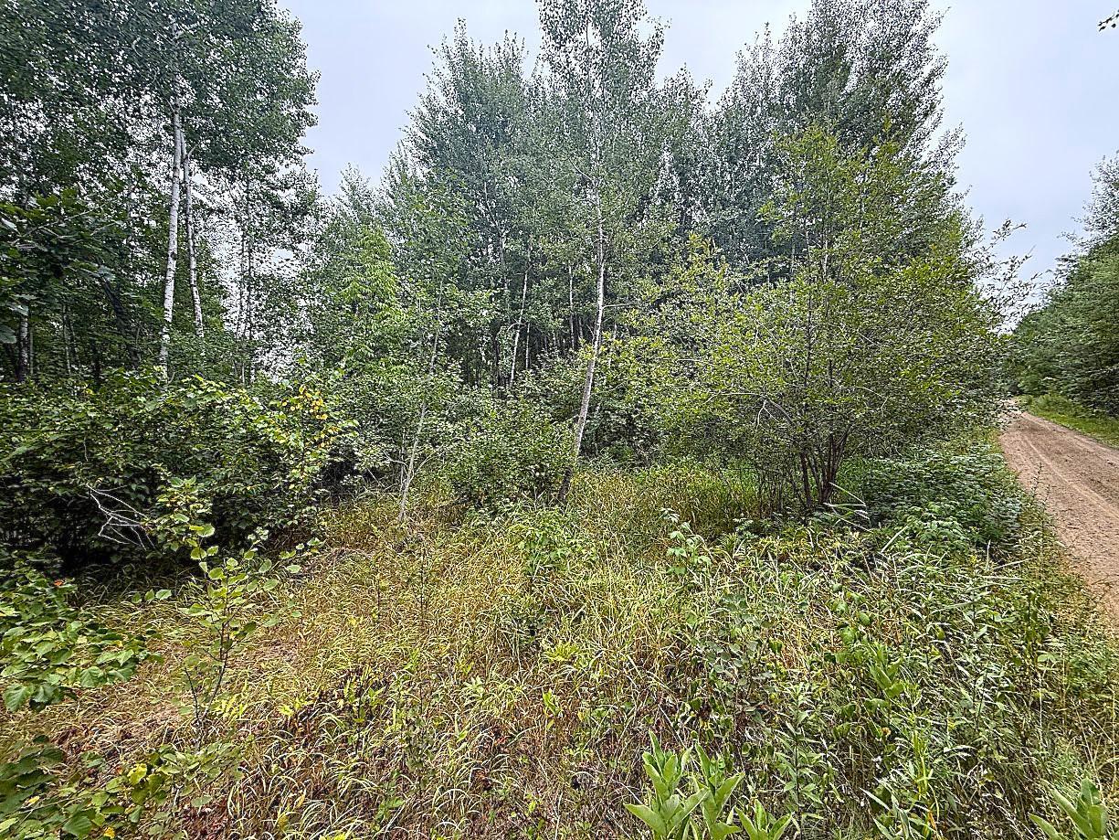 2nd image of 10046 Legionville Rd, Brainerd, MN 56401 | MLS# 7128041