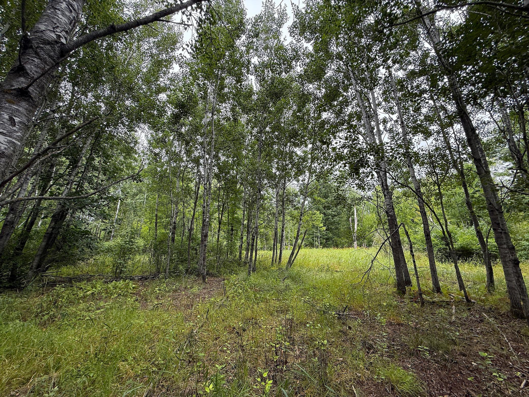 3rd image of 10046 Legionville Rd, Brainerd, MN 56401 | MLS# 7128041