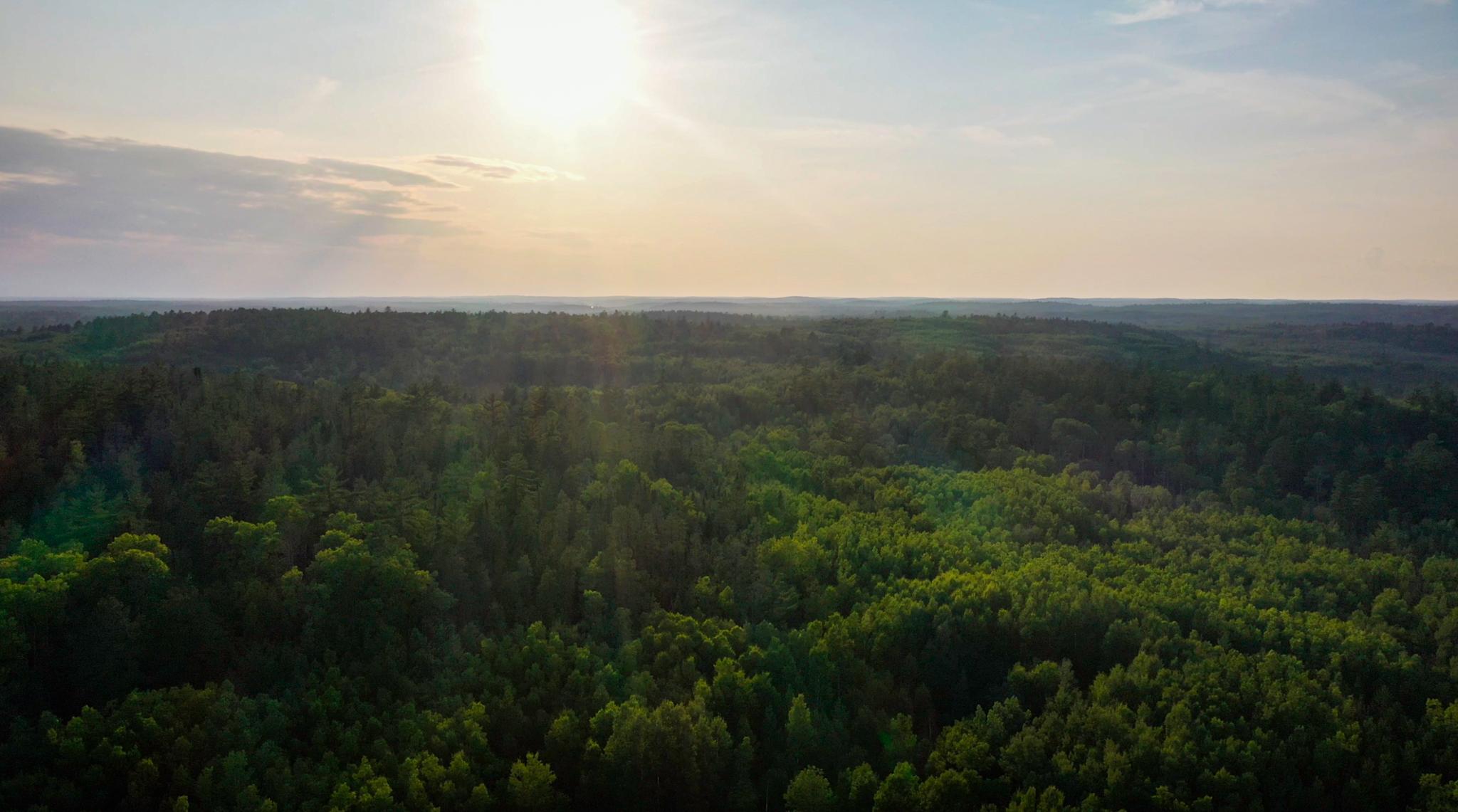 30th image of 6991 Crane Lake Rd, Crane Lake, MN 55725 | MLS# 7128098