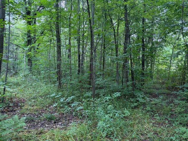 1st image of 19348 170th St, Mc Grath, MN 56350 | MLS# 7128199
