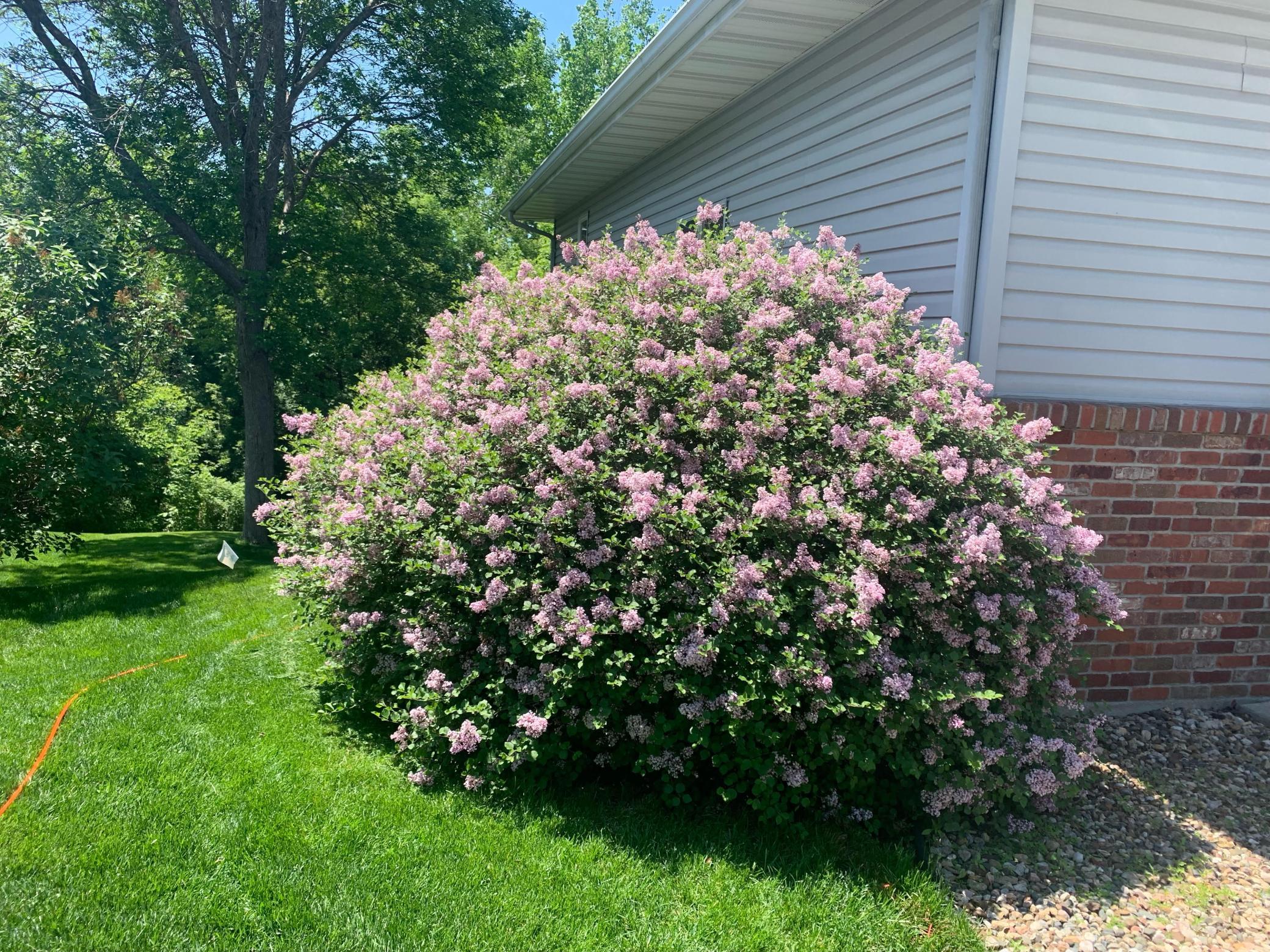4th image of 2810 Sunset Ln Ne, Rochester, MN 55906 | MLS# 7128409