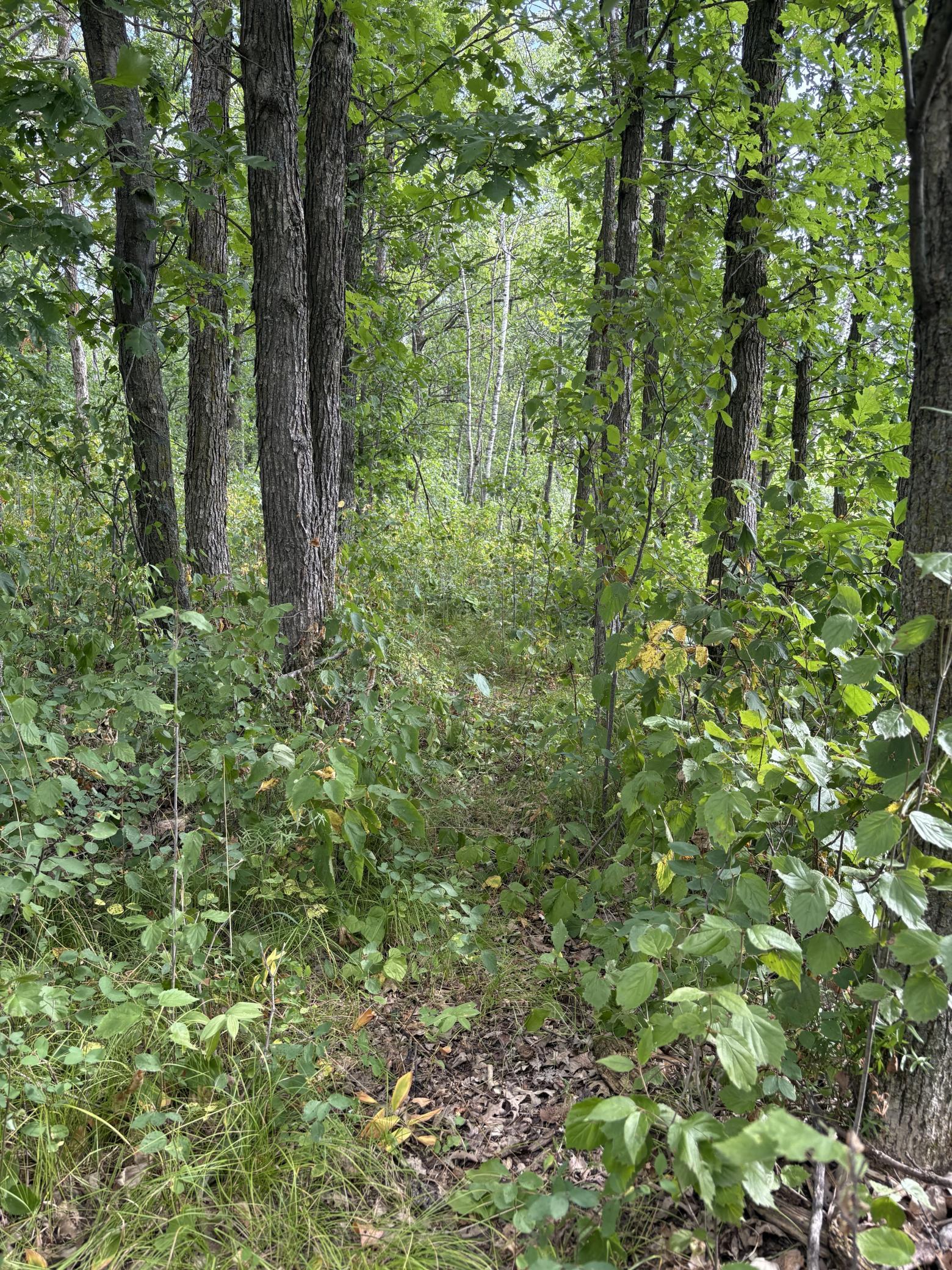 3rd image of Xxx Meadowview Road, Brainerd, MN 56401 | MLS# 7128624