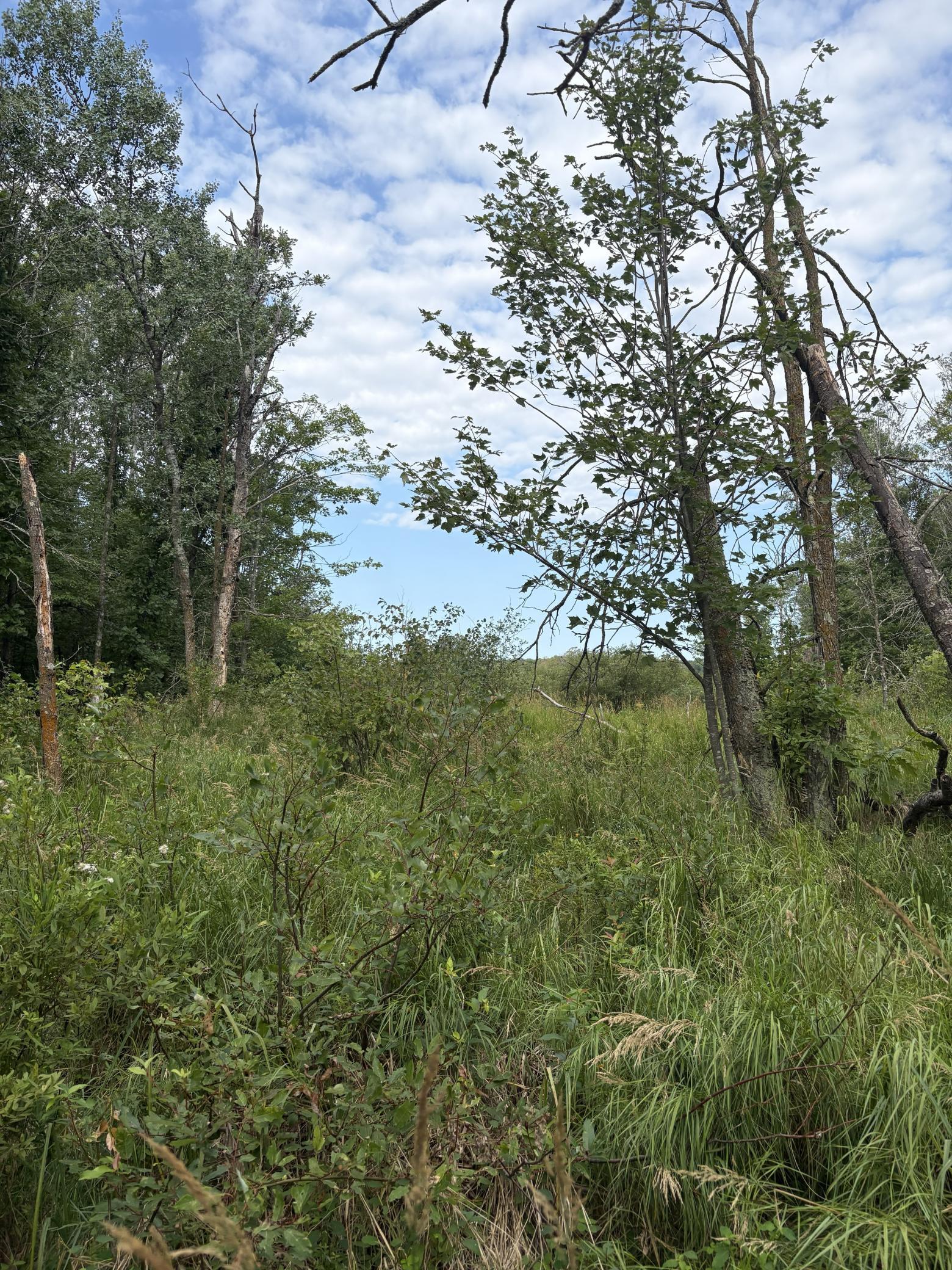 5th image of Xxx Meadowview Road, Brainerd, MN 56401 | MLS# 7128624