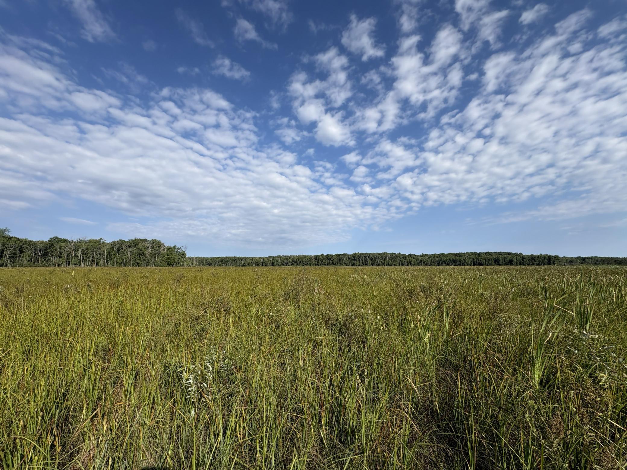 1st image of Xxx Meadowview Road, Brainerd, MN 56401 | MLS# 7128624