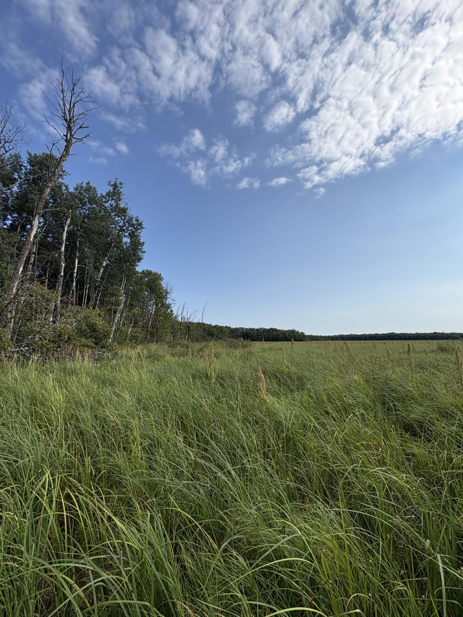 6th image of Xxx Meadowview Road, Brainerd, MN 56401 | MLS# 7128624