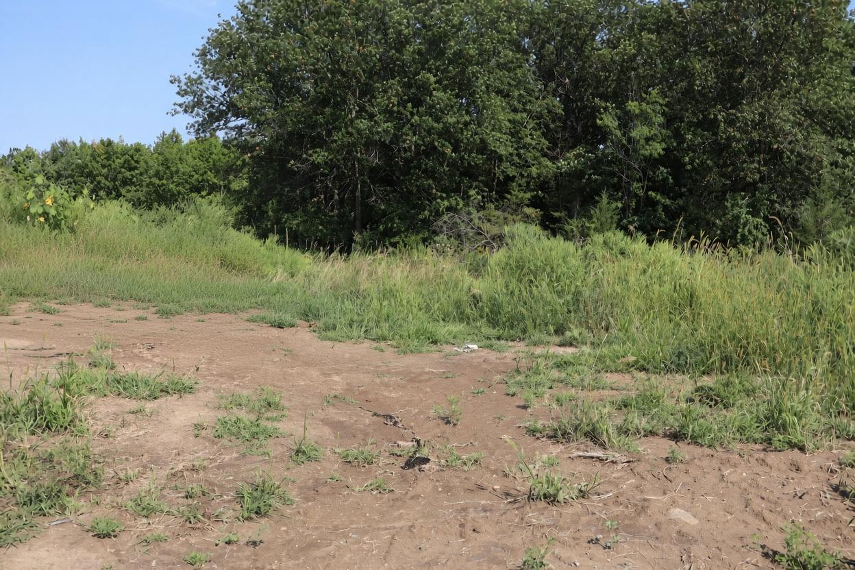 1st image of 2011 Mulberry Ln, Carver, MN 55315 | MLS# 7128940