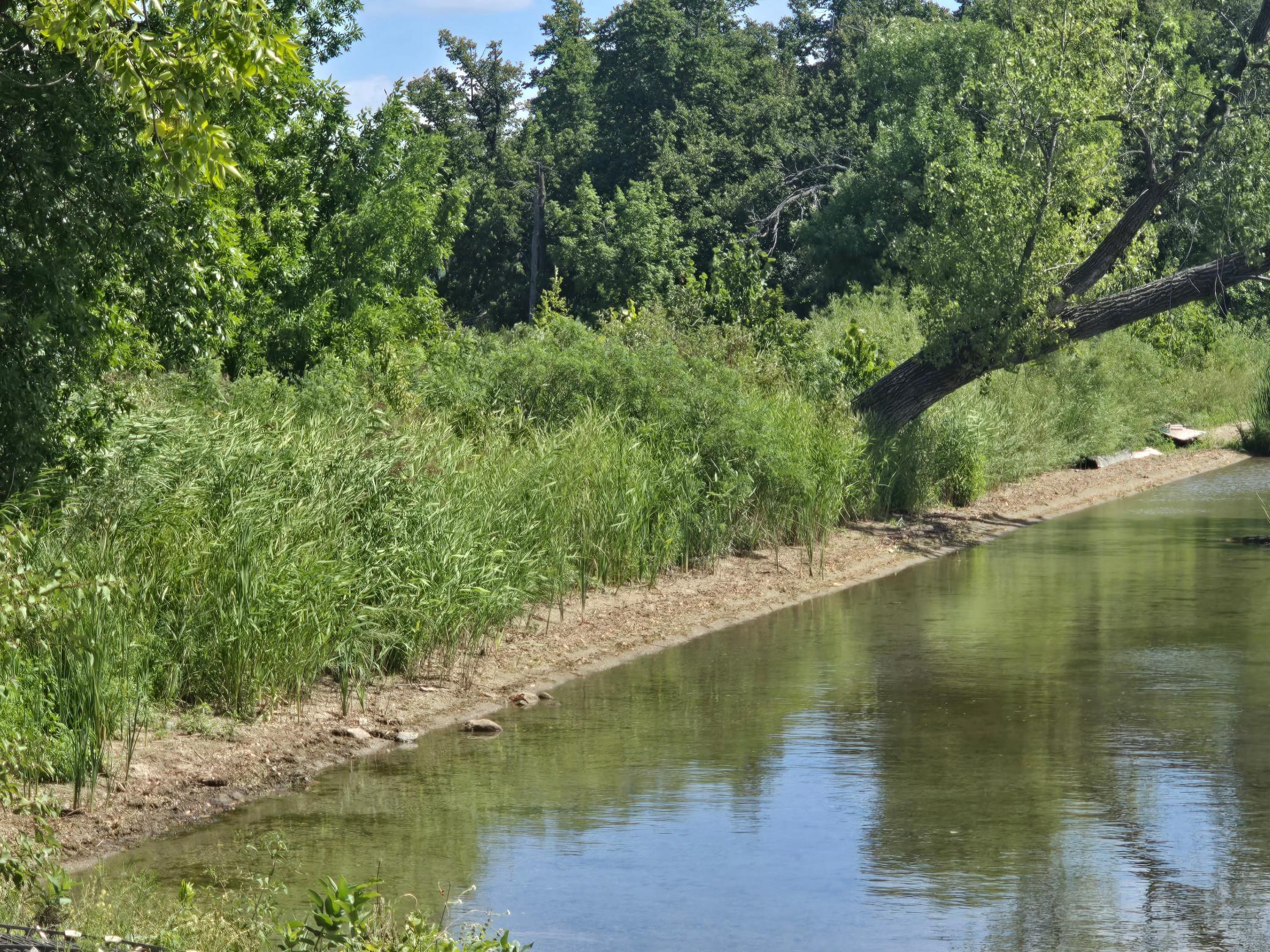 2nd image of 46092 Sunfish Rd, Vergas, MN 56587 | MLS# 7128976