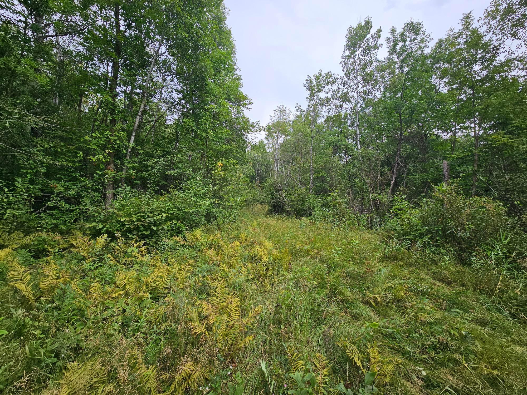 2nd image of Tbd Moose River Rd E, Grygla, MN 56727 | MLS# 7128999