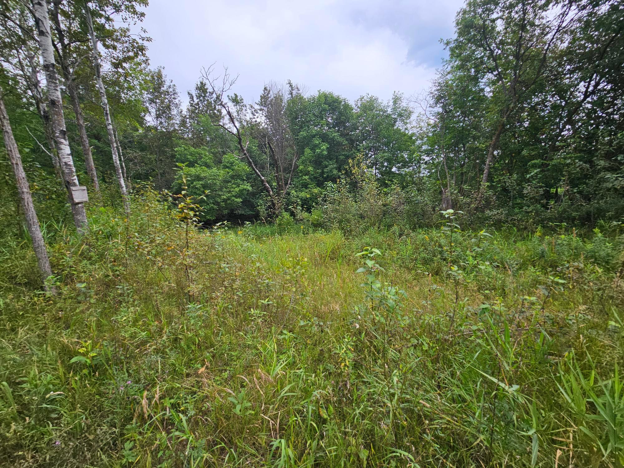 3rd image of Tbd Moose River Rd E, Grygla, MN 56727 | MLS# 7128999