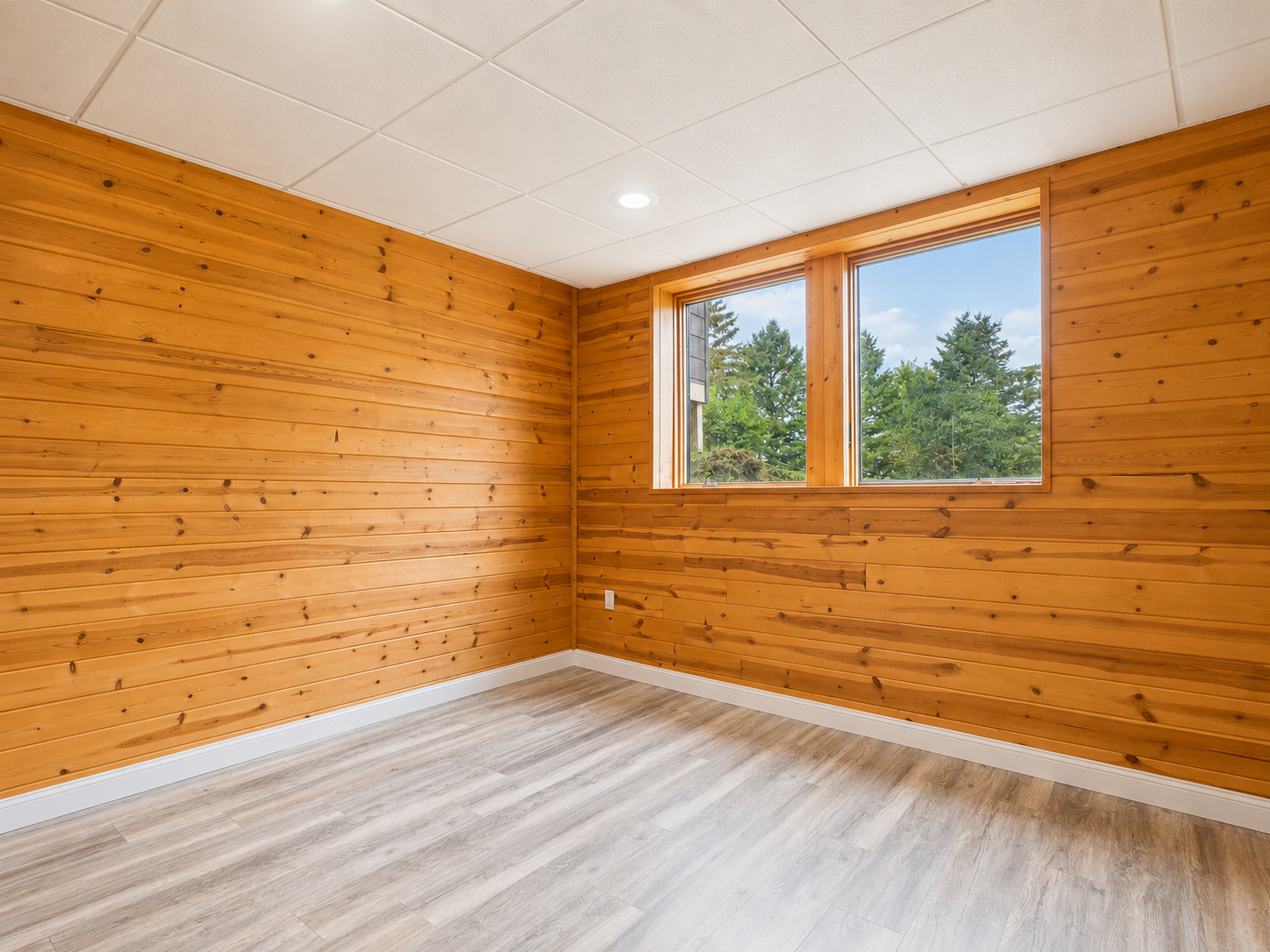 37th image of 17387 185th Ave, Glenwood, MN 56334 | MLS# 7129185