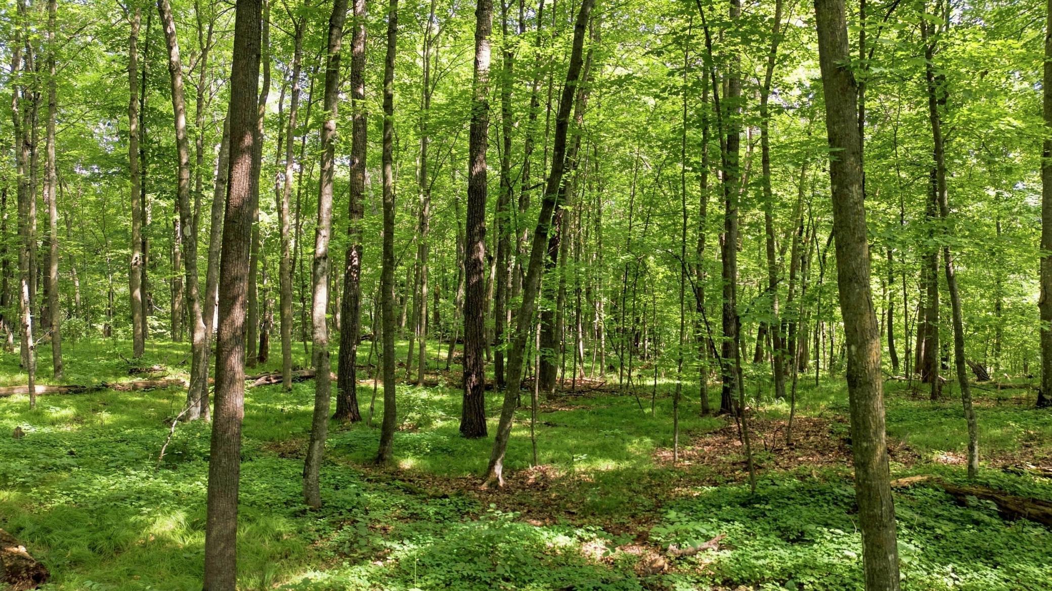 3rd image of 260Th Emery, Erhard, MN 56534 | MLS# 7129431