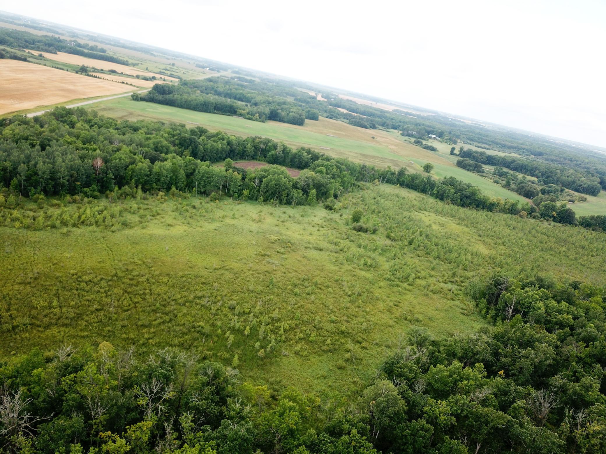 5th image of 46758 S Pine Lake Rd, Gonvick, MN 56644 | MLS# 7129662