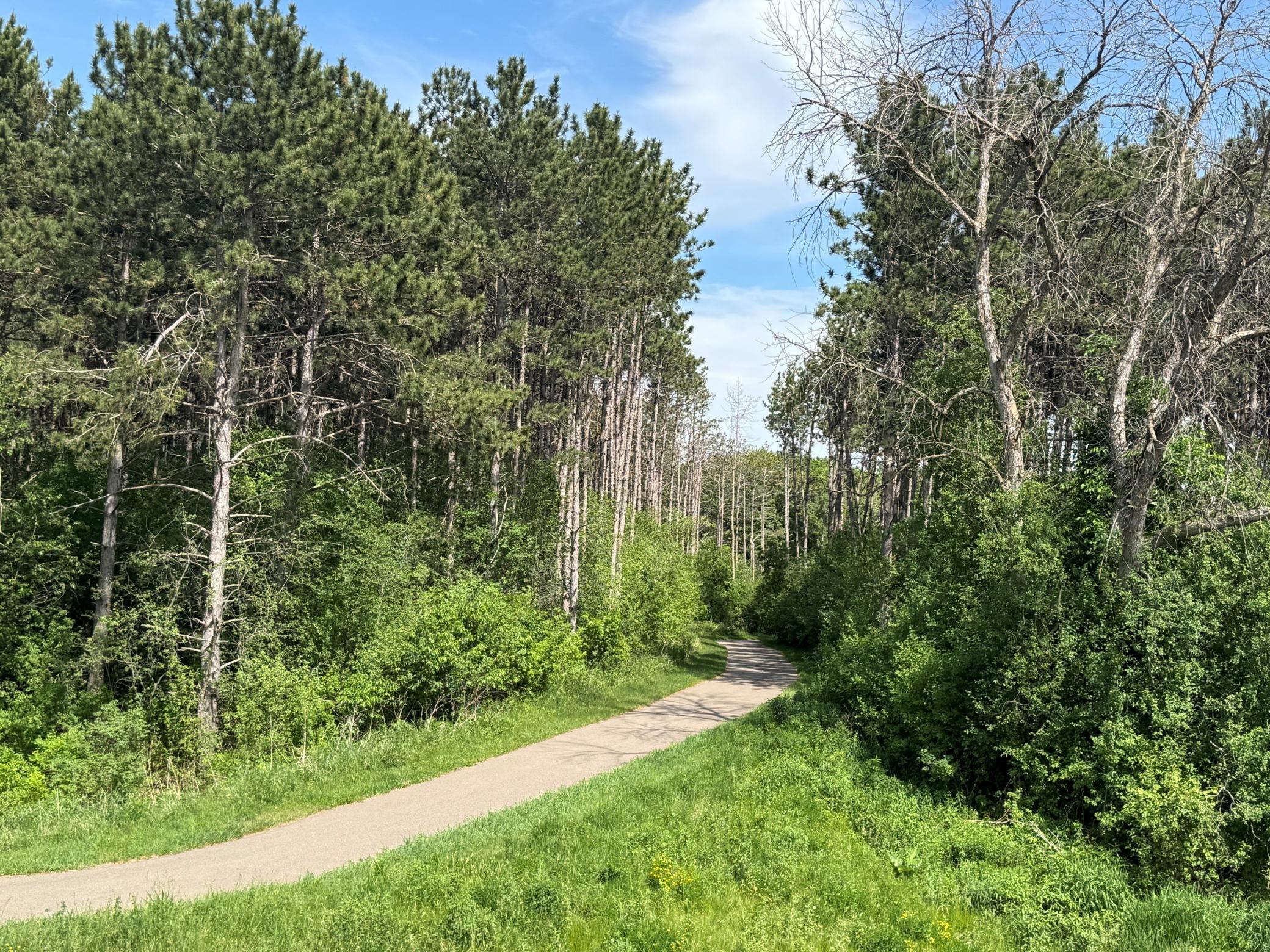 37th image of 6272 61st St S, Cottage Grove, MN 55016 | MLS# 7129927