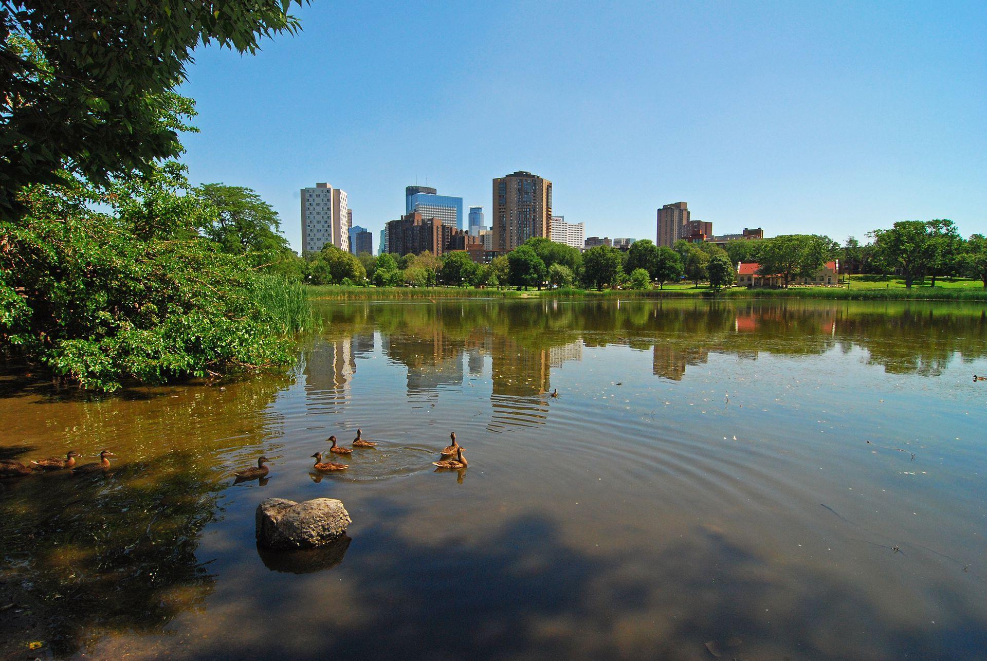29th image of 821 Douglas Ave #204, Minneapolis, MN 55403 | MLS# 7130441
