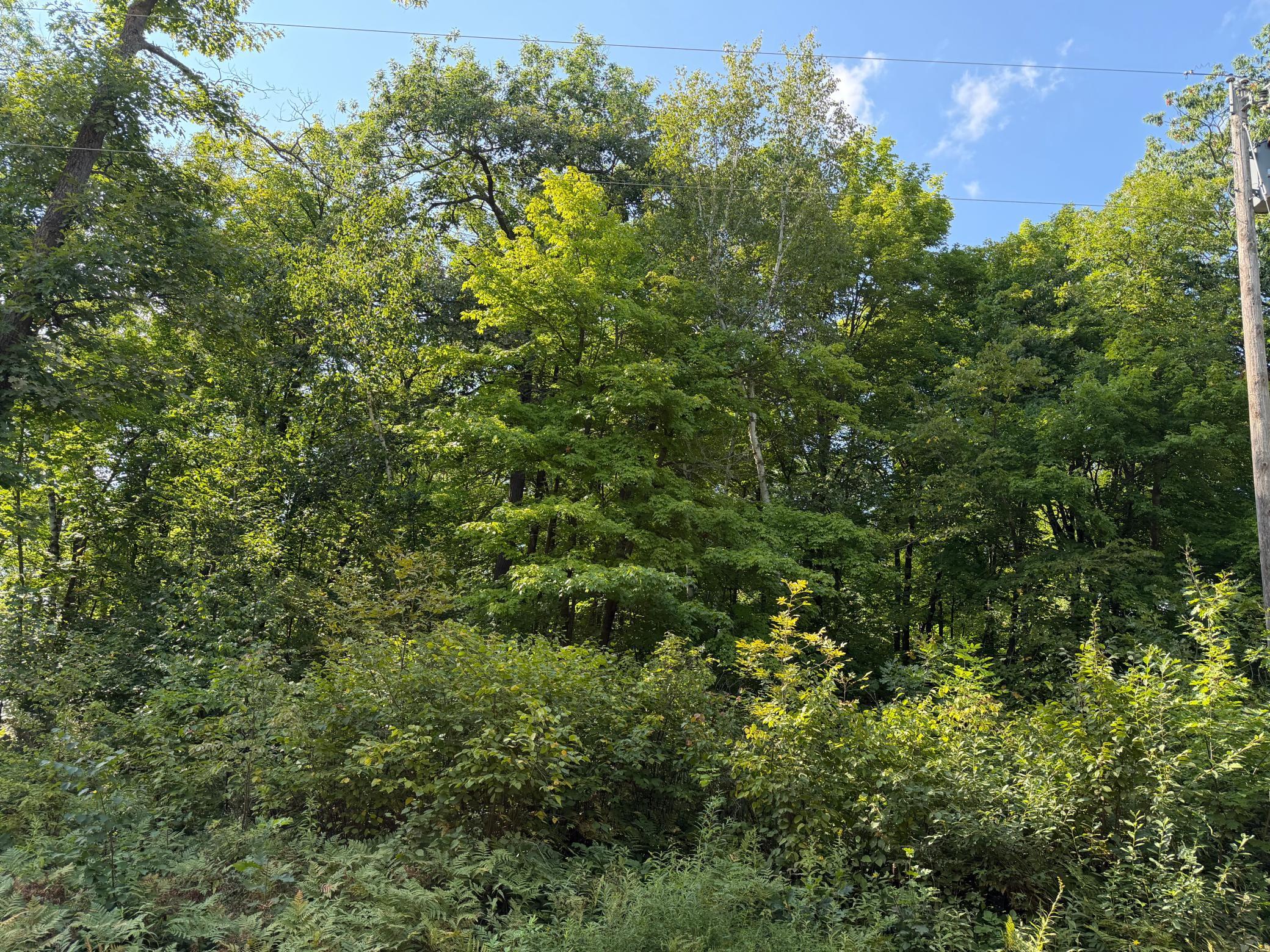 1st image of 25xxx Eagle Ridge Rd, Aitkin, MN 56431 | MLS# 7130846
