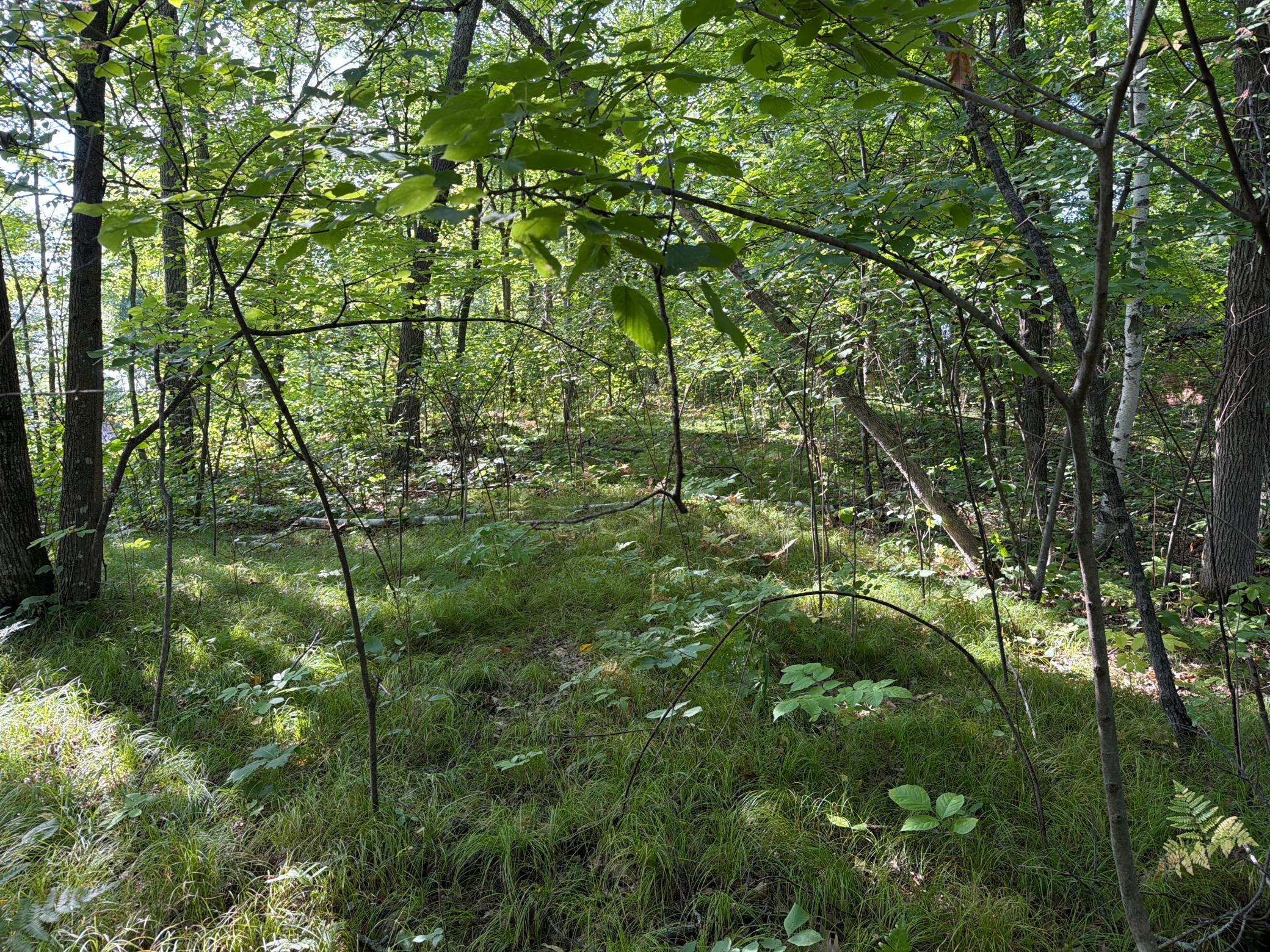 4th image of 25Xxx Eagle Ridge Rd, Aitkin, MN 56431 | MLS# 7130846