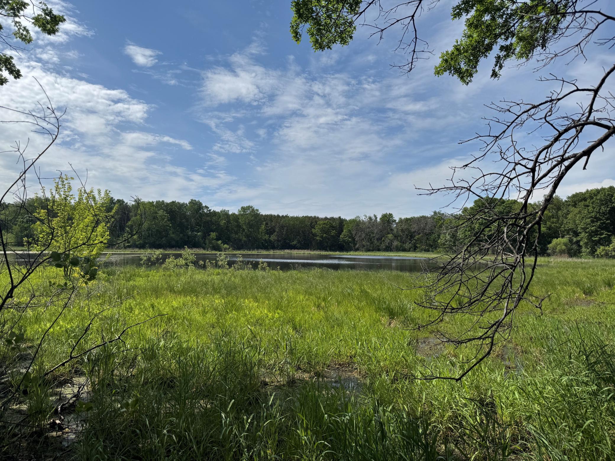 31st image of 6271 61st St S, Cottage Grove, MN 55016 | MLS# 7130956