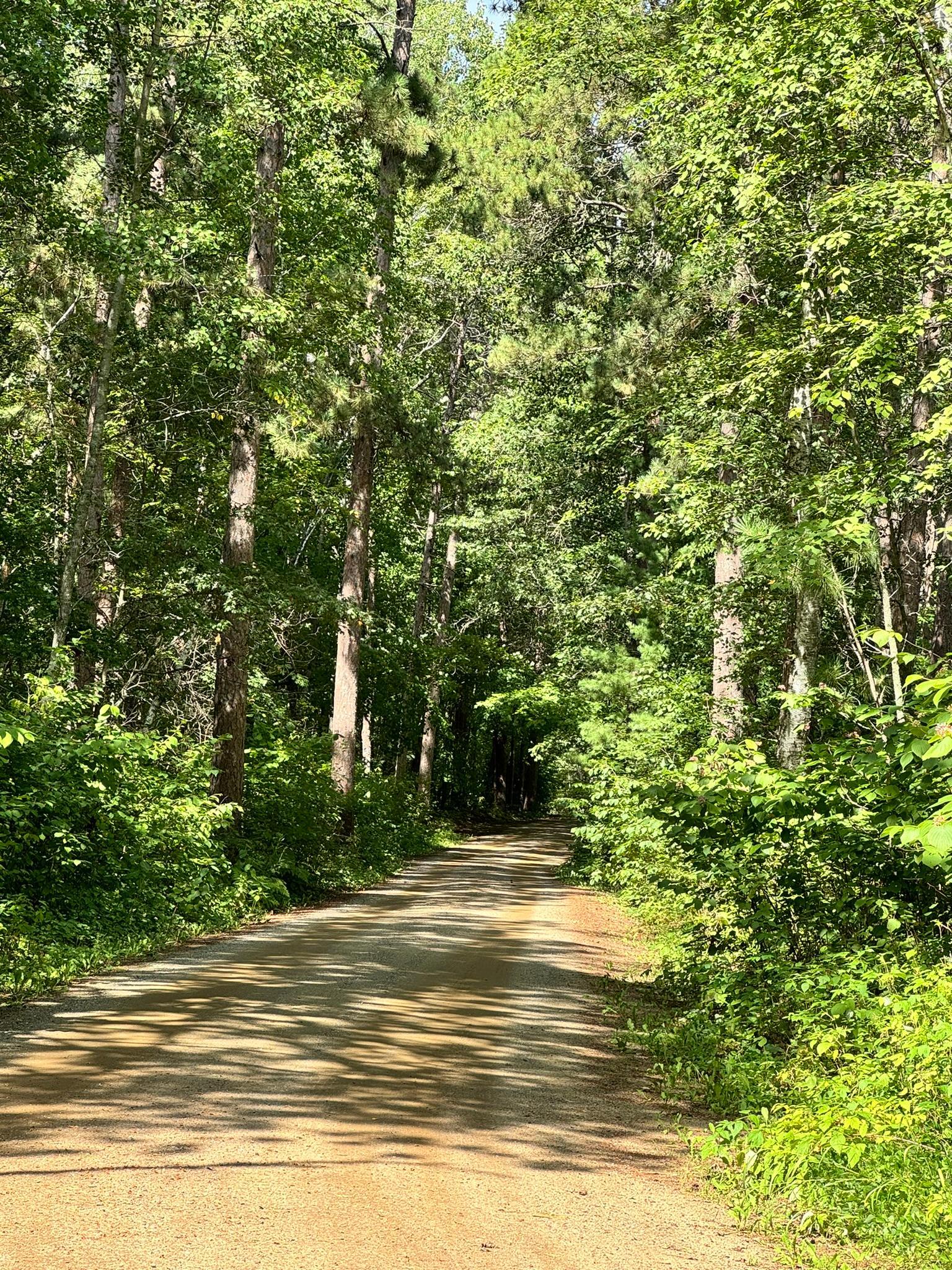 5th image of Tbd Glacial Ridge Trl, Nevis, MN 56467 | MLS# 7130970