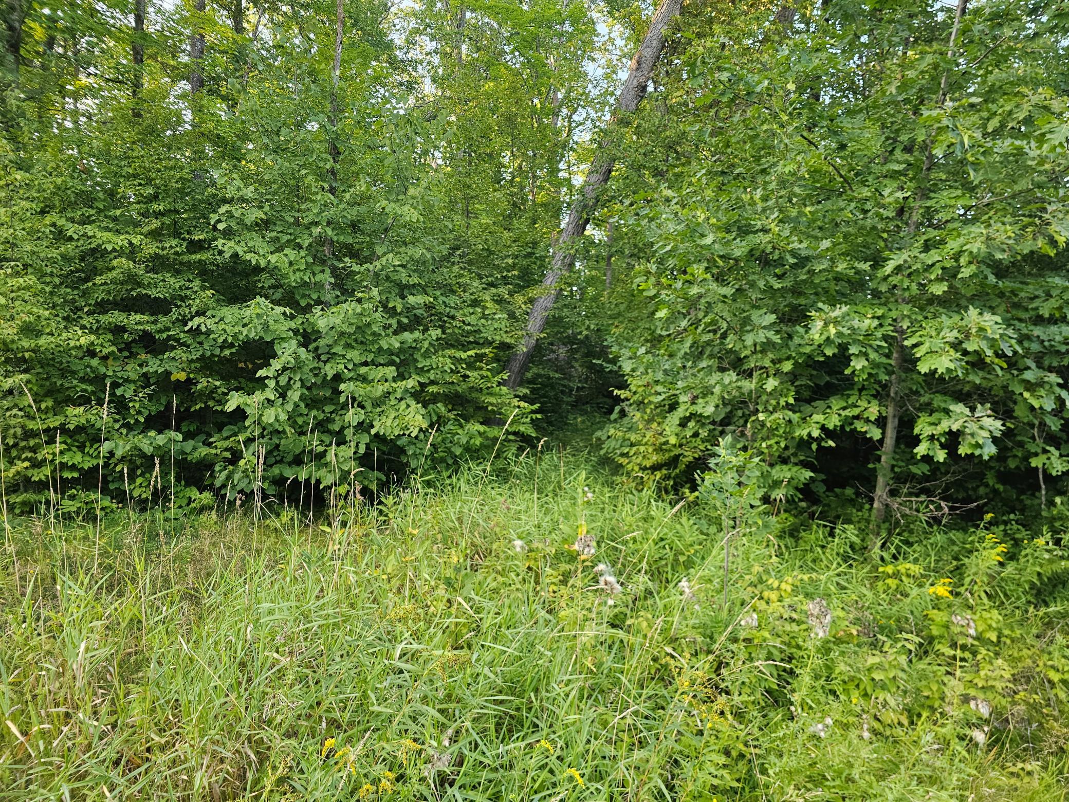 5th image of Lot 3 Woodlands Rd, Aitkin, MN 56431 | MLS# 7131056