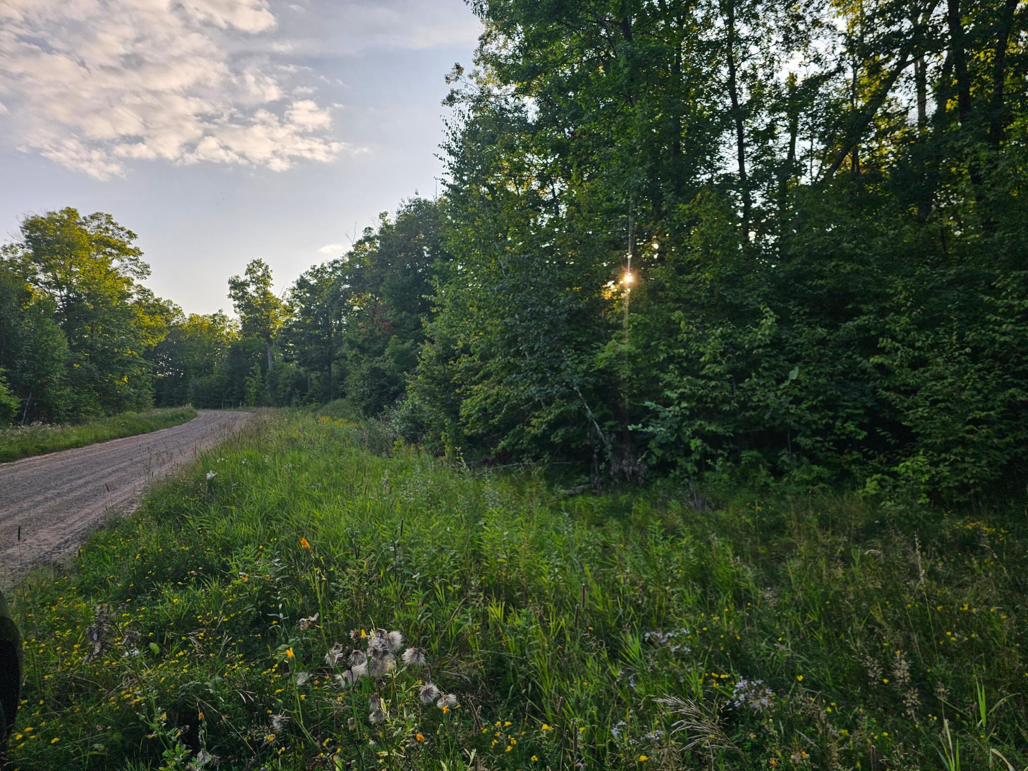 6th image of Lot 3 Woodlands Rd, Aitkin, MN 56431 | MLS# 7131056