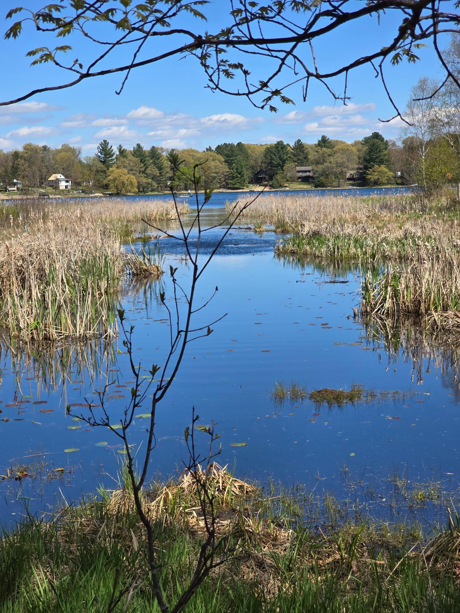 13th image of Tbd Ne West Fawn Lake Road, Stacy, MN 55079 | MLS# 7131189