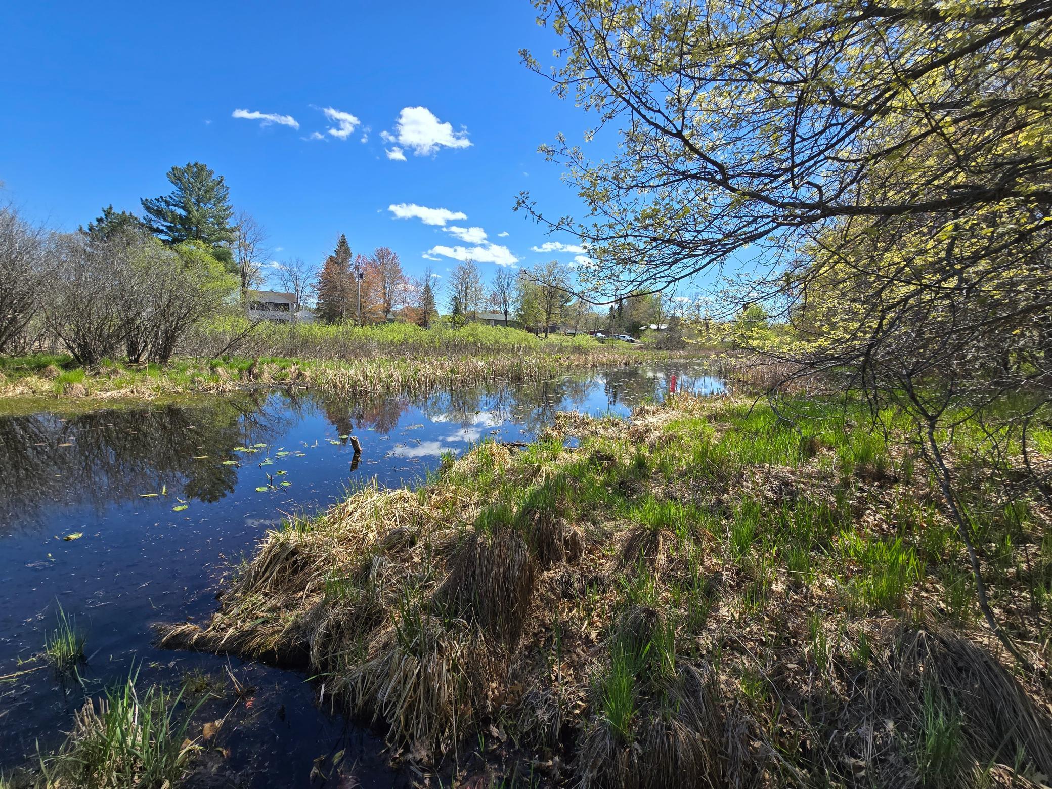2nd image of Tbd Ne West Fawn Lake Road, Stacy, MN 55079 | MLS# 7131189