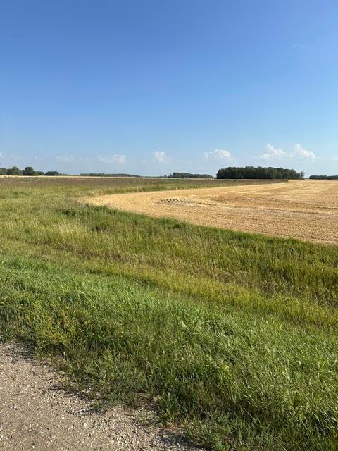 2nd image of Tbd 140th St Ne, Thief River Falls, MN 56701 | MLS# 7131241