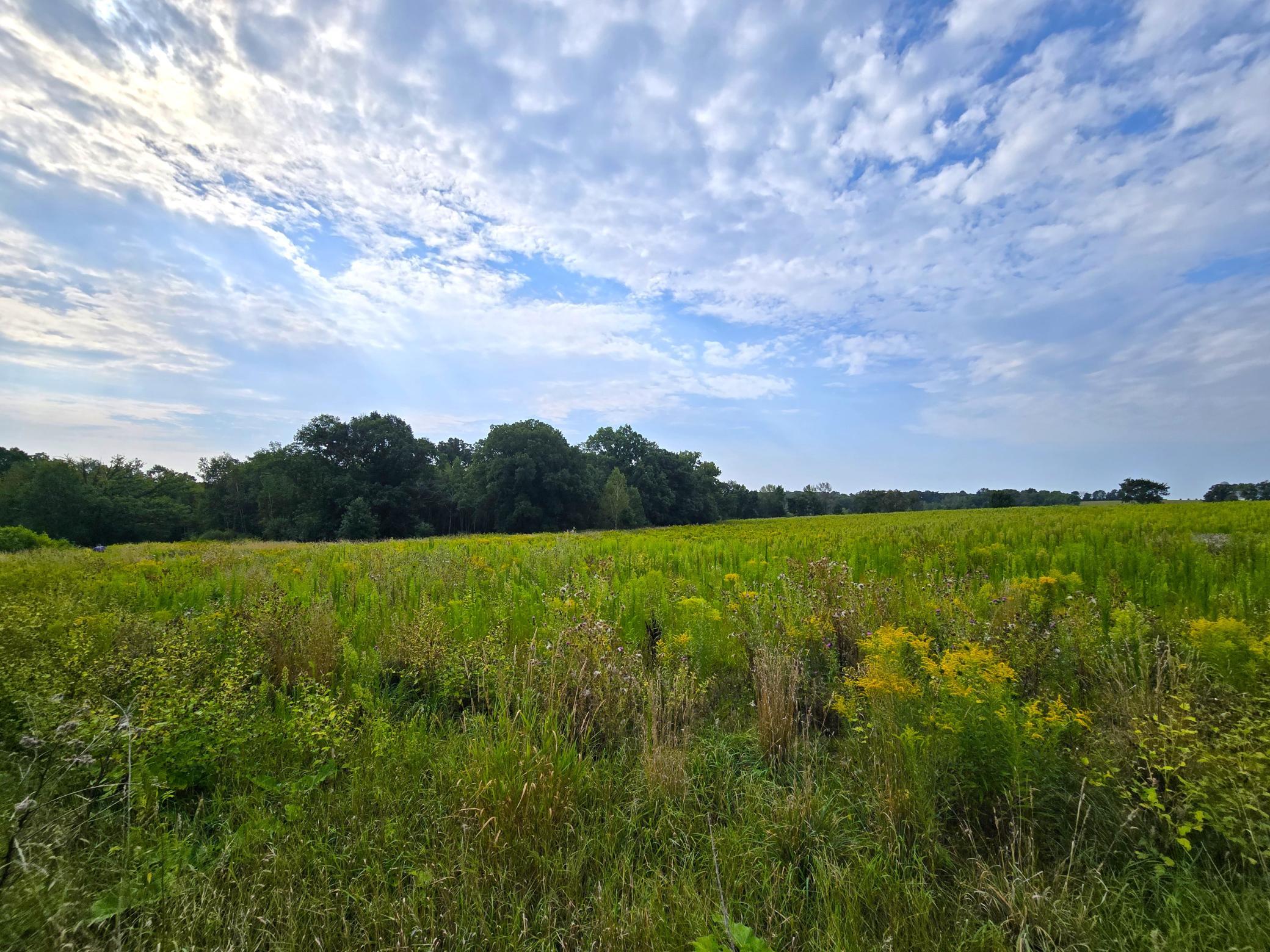 49th image of 39 5th Ave, Clayton, WI 54004 | MLS# 7131321