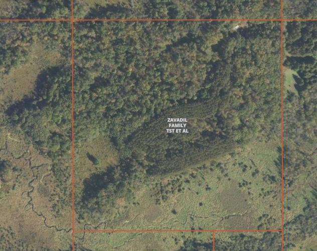 1st image of Tbd 530th Ave, Deer Creek, MN 56527 | MLS# 7131373
