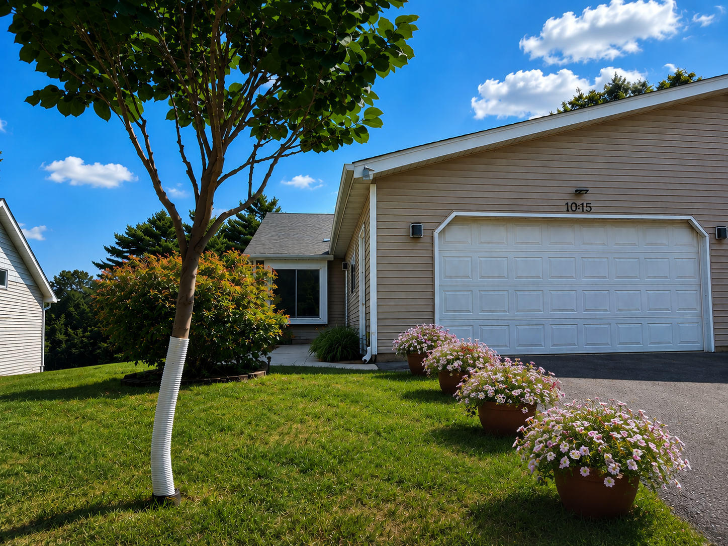 1st image of 1015 Poplar St, Northfield, MN 55057 | MLS# 7131403