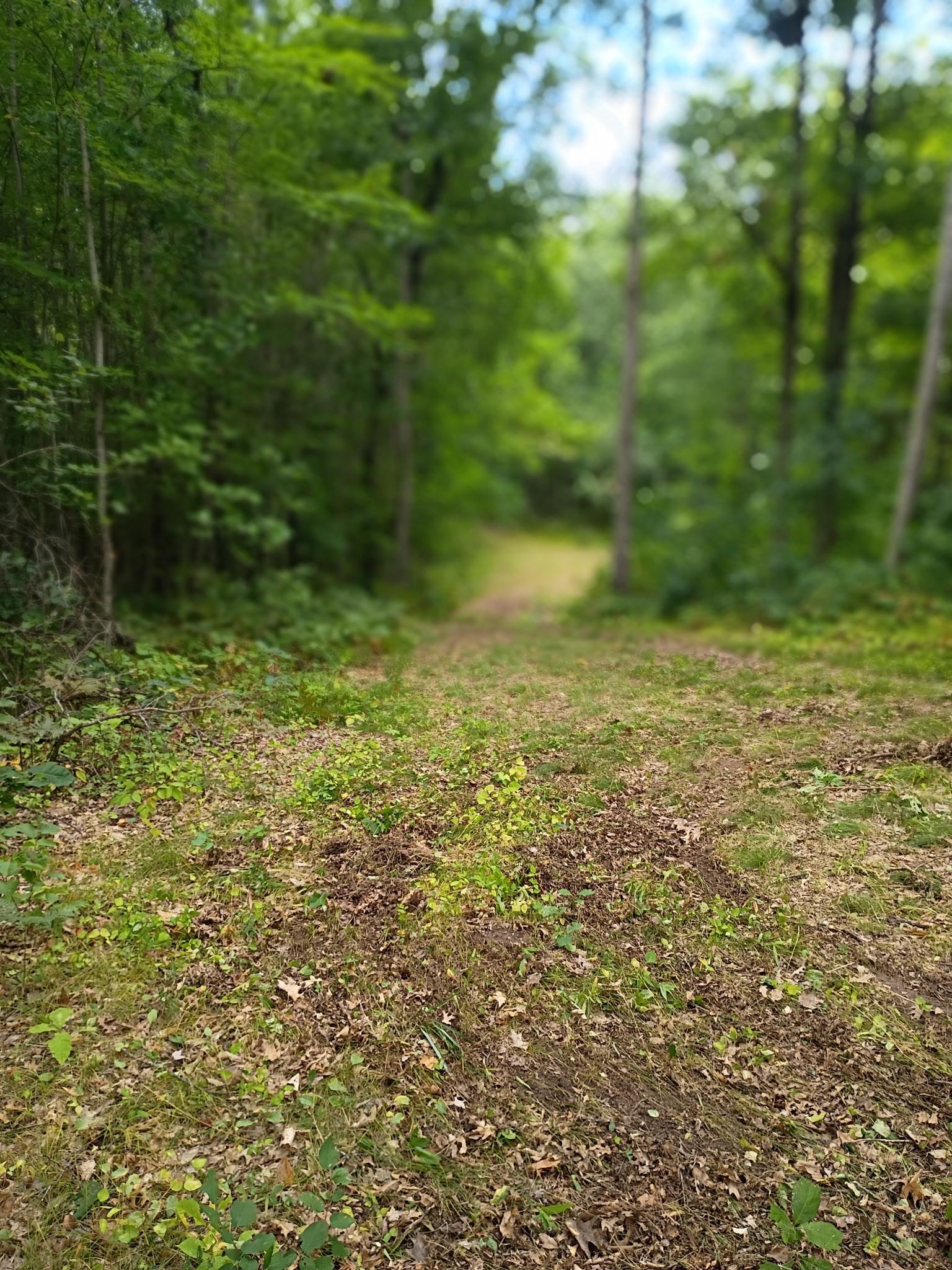 32nd image of W9xxx Webb Lake Dr, Trego, WI 54888 | MLS# 7132361