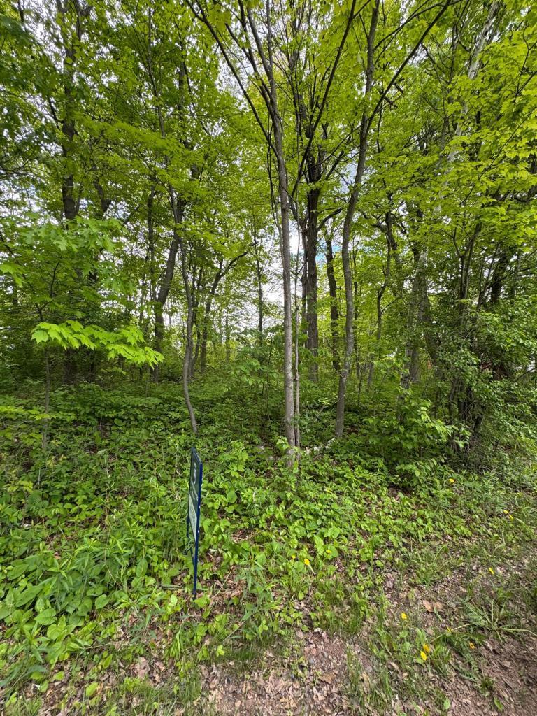 1st image of Xxxx 241st Ave Ne, Stacy, MN 55079 | MLS# 7132520