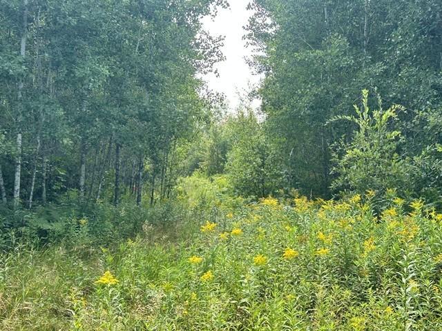 10th image of 38542 Cr 45, Laporte, MN 56461 | MLS# 7132598